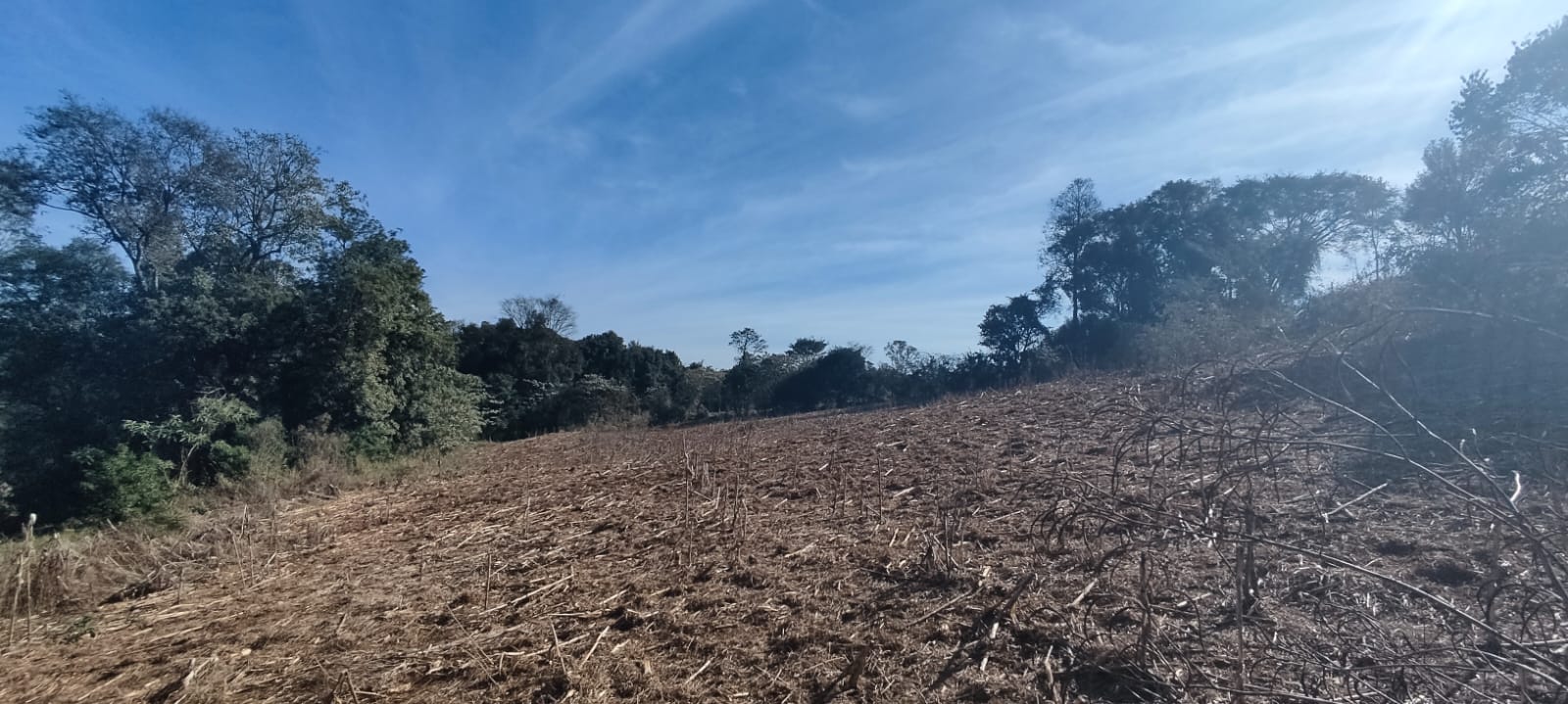 Chácara de 10.000m² à Venda em Paraíso!
