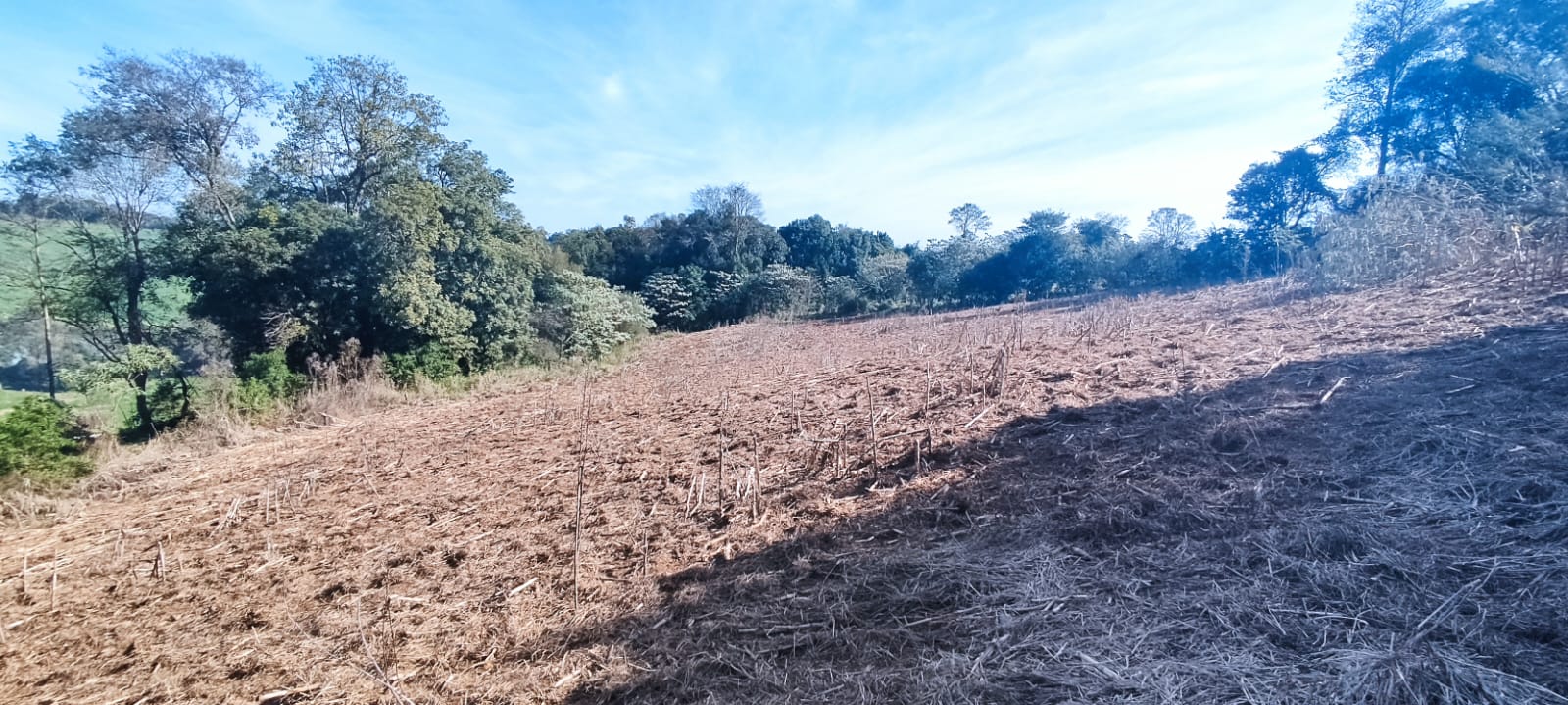 Chácara de 10.000m² à Venda em Paraíso!