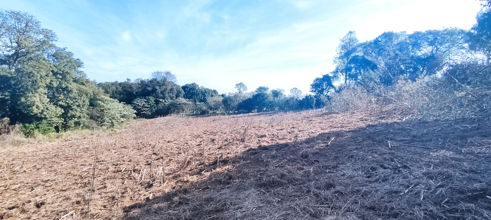 Chácara de 10.000m² à Venda em Paraíso!