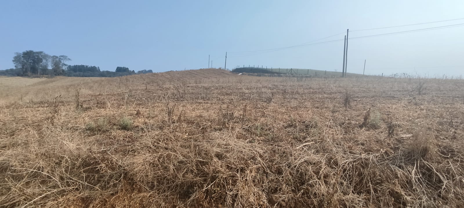 Chácara à Beira do Asfalto na Linha Limeira