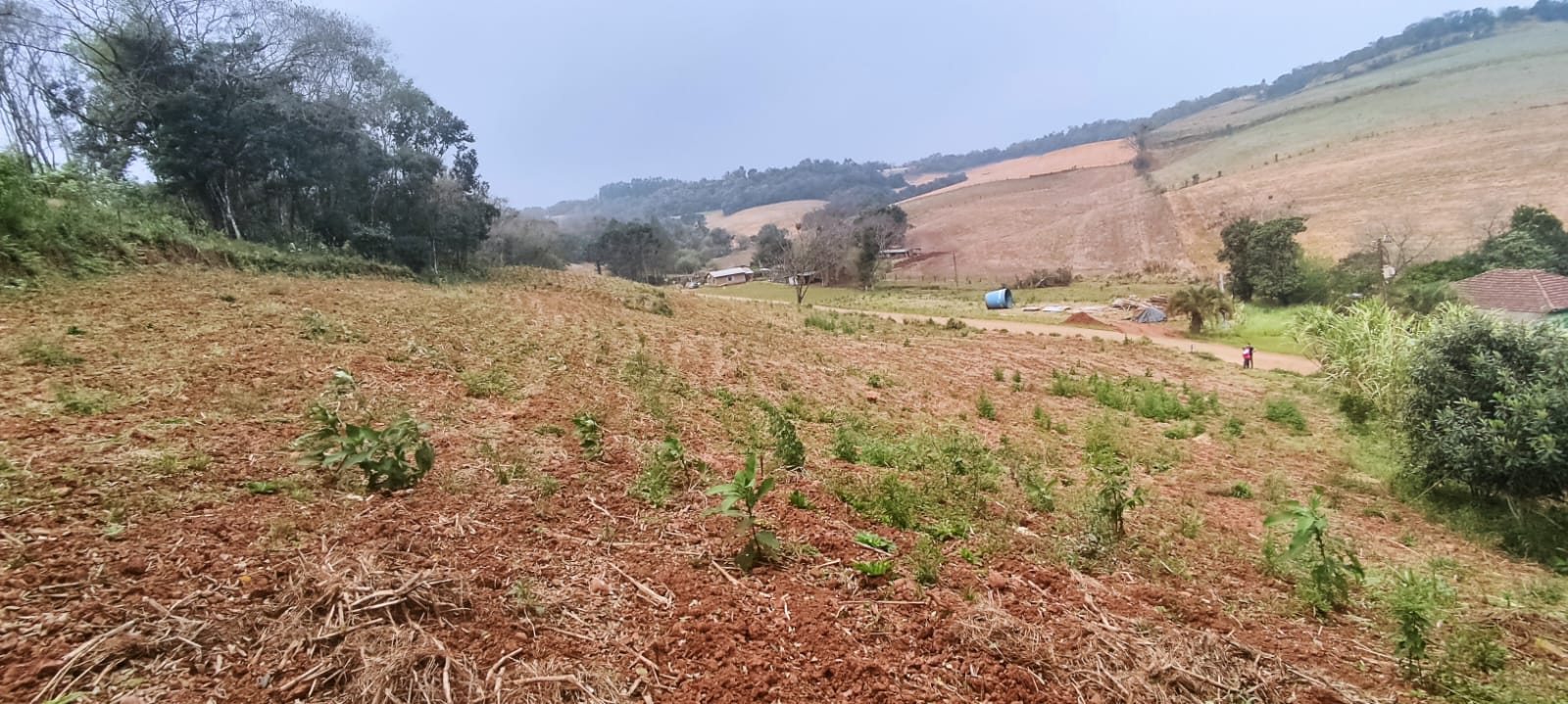 Chácara à Venda – Oportunidade na Linha Castelo Branco