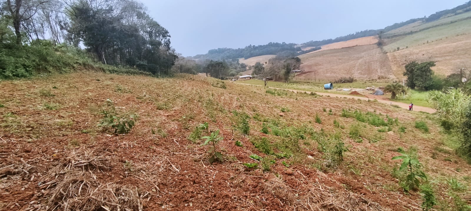 Chácara à Venda – Oportunidade na Linha Castelo Branco