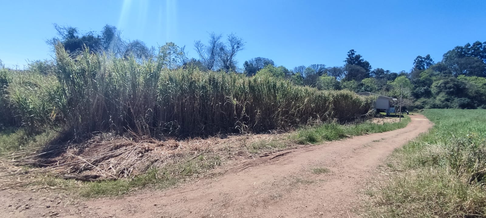  Chácara à Venda em Paraíso – Ideal para Investimento