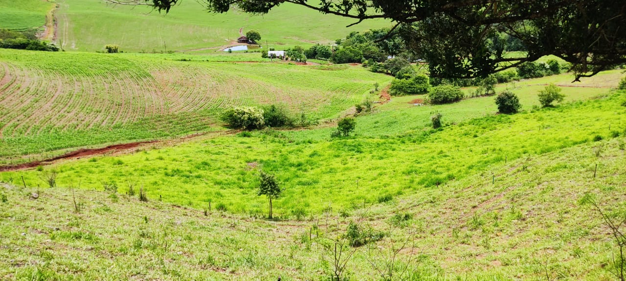 🌾 Propriedade Completa à Venda – 15 Hectares em Linha Limeira, Paraíso/SC!