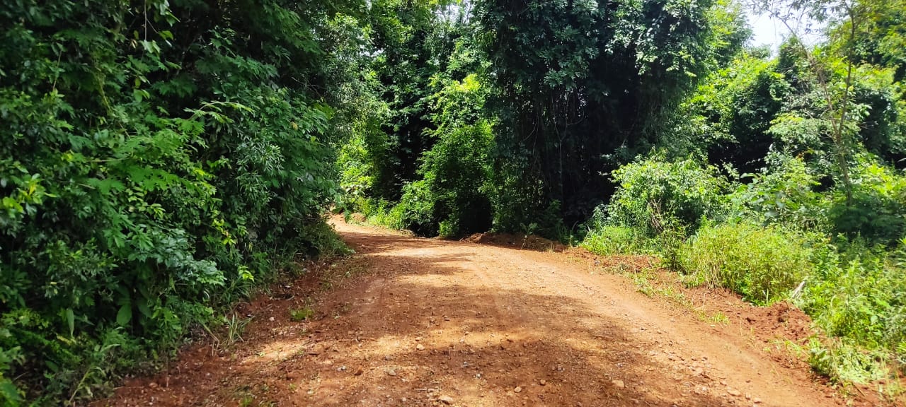 🌾 Propriedade Completa à Venda – 15 Hectares em Linha Limeira, Paraíso/SC!