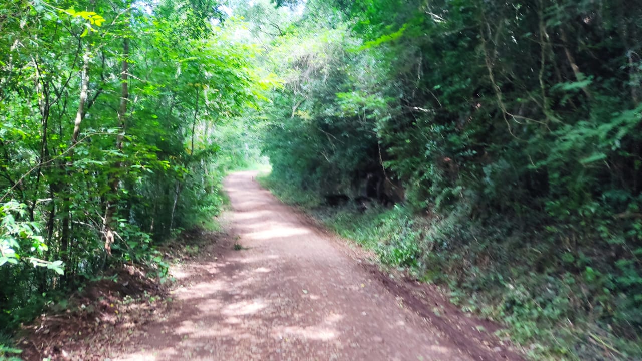  Seu pedaço de tranquilidade está aqui!