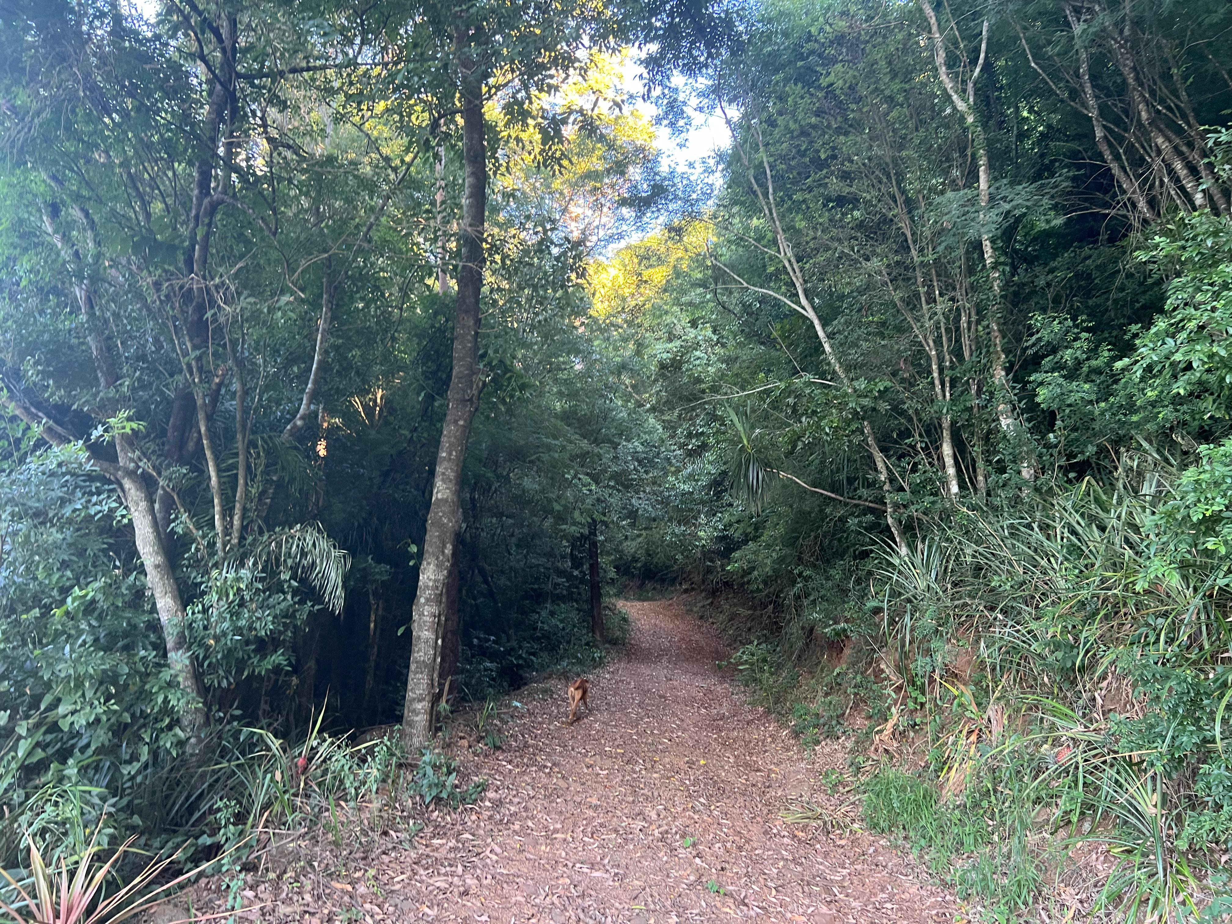 🏞️ Oportunidade Imperdível! Terreno em São Luiz – Guaraciaba/SC!