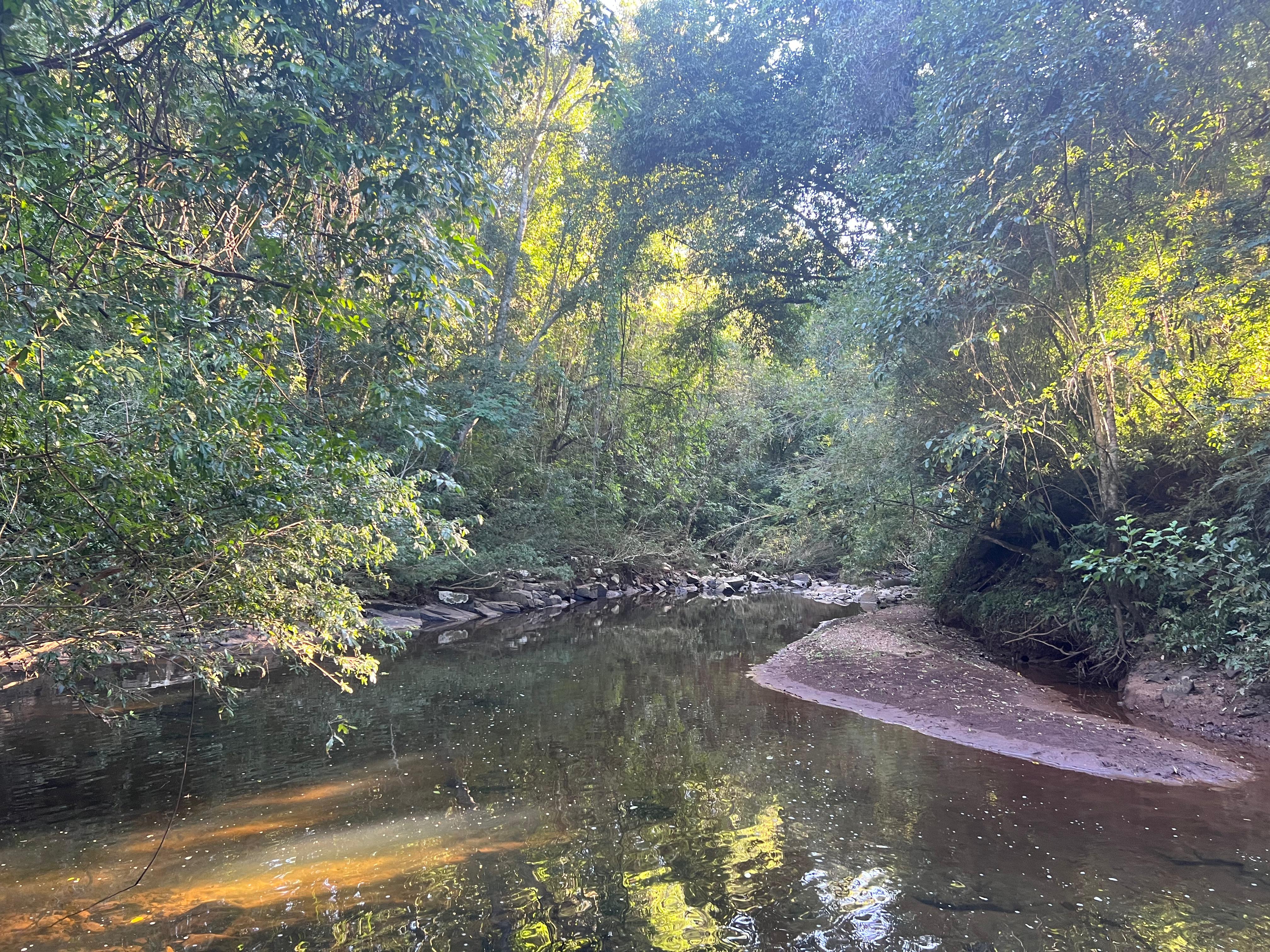 🏞️ Oportunidade Imperdível! Terreno em São Luiz – Guaraciaba/SC!