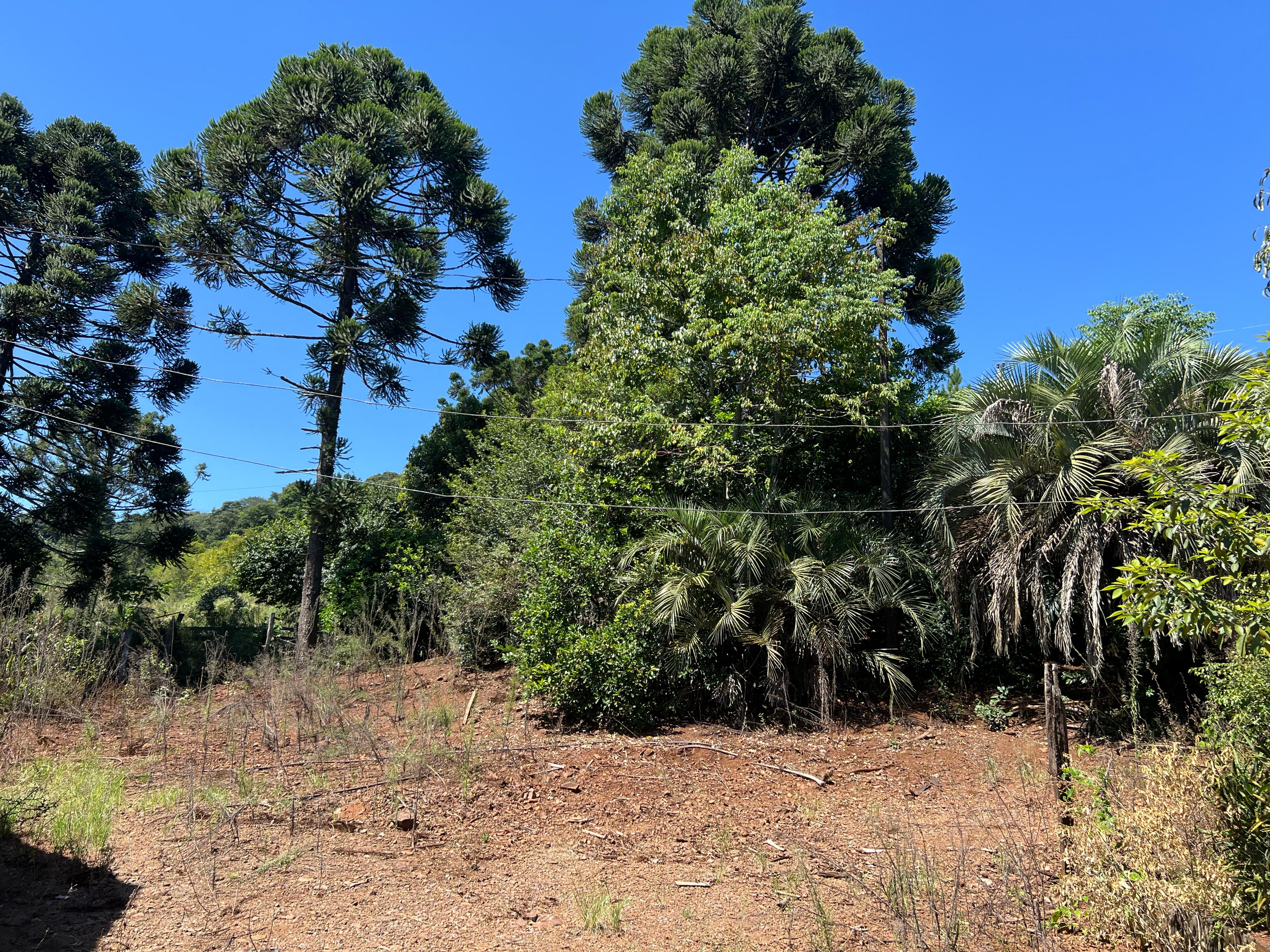 Chácara à Venda – Localização Estratégica!