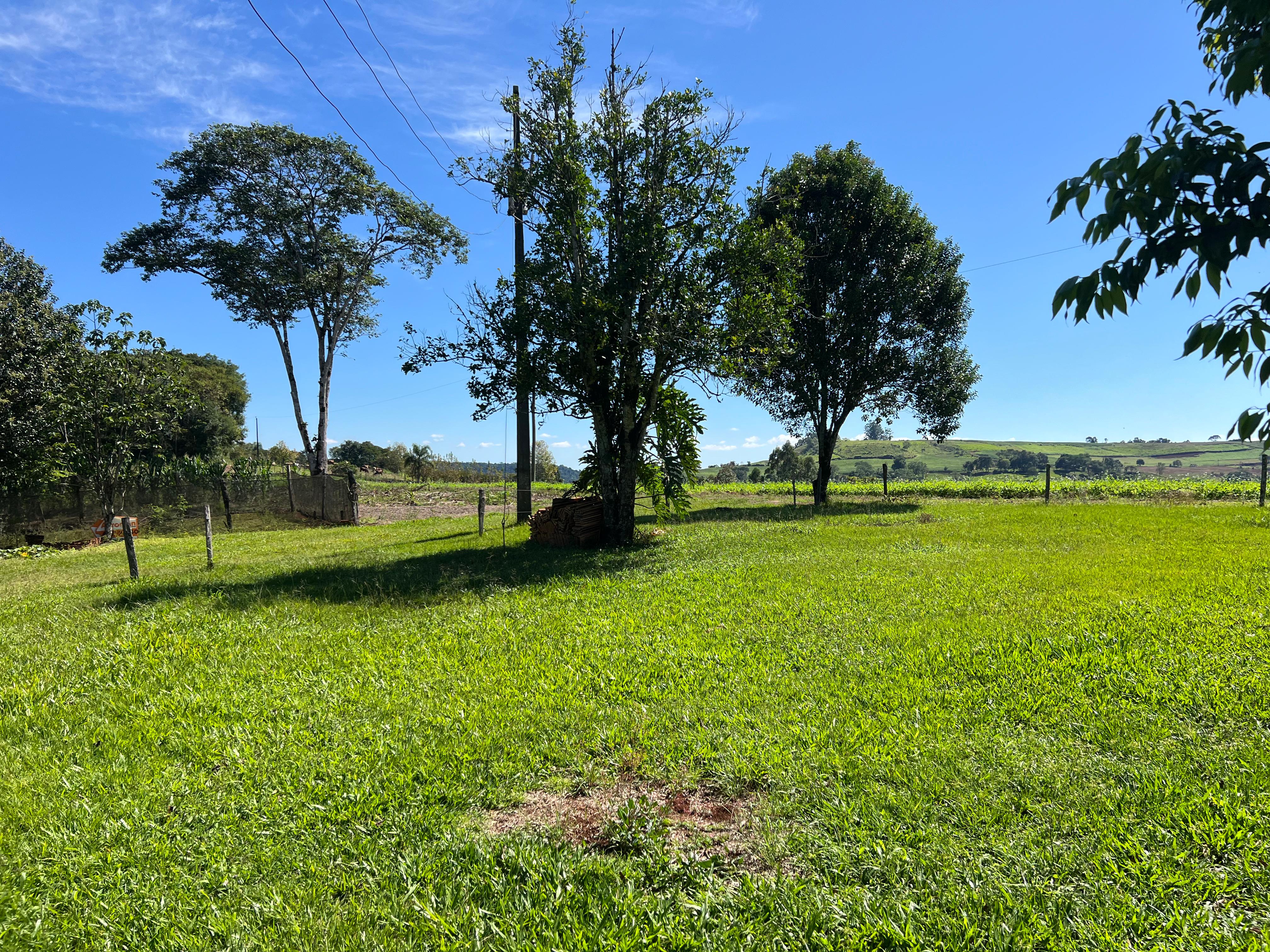 Propriedade Rural à Venda – Linha Rosário, Paraíso/SC