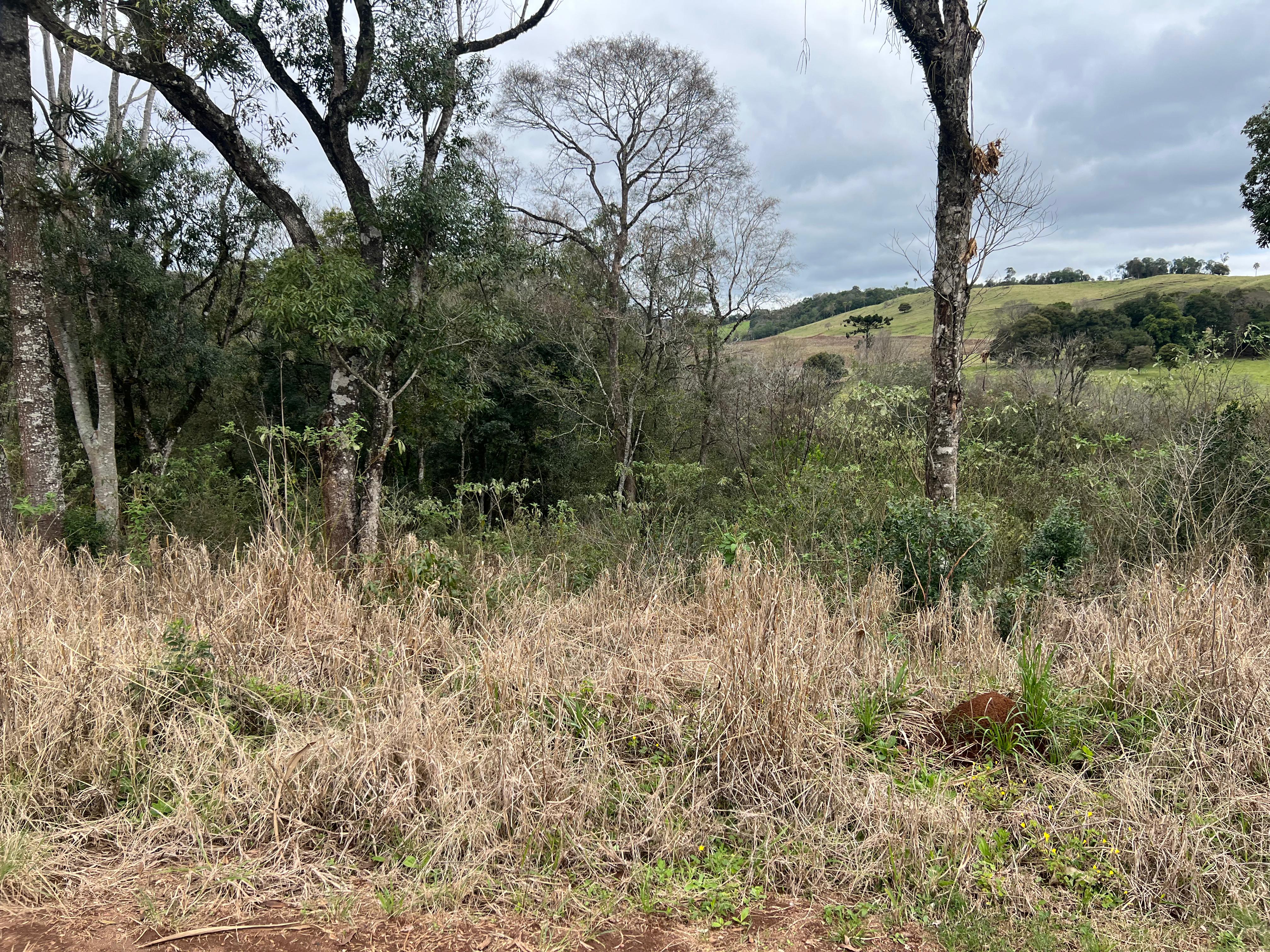 Oportunidade em Paraíso/SC – 7,5 Hectares