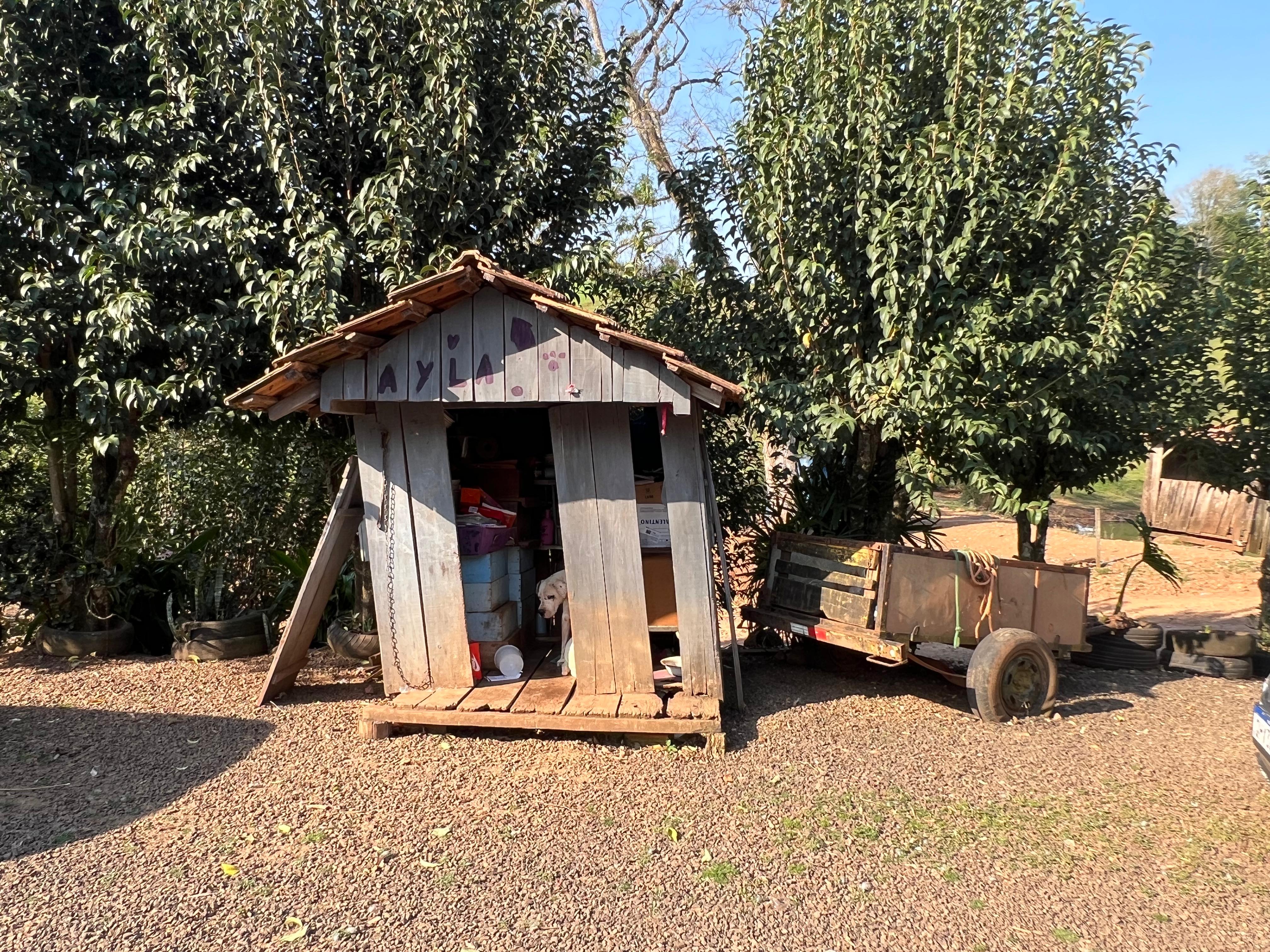 Vende se propriedade completa em linha limeira em Paraíso