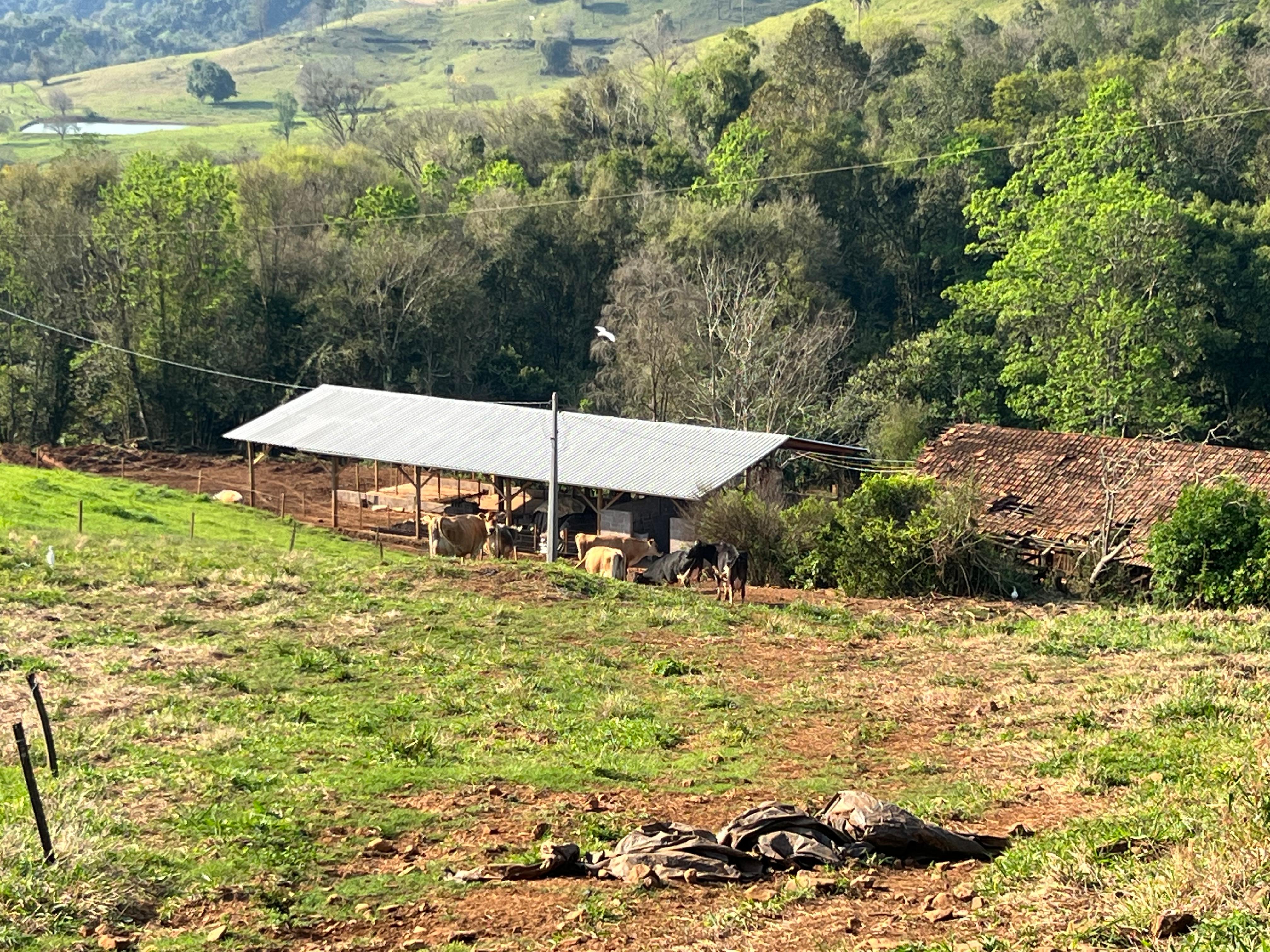 Vende se propriedade completa em linha limeira em Paraíso