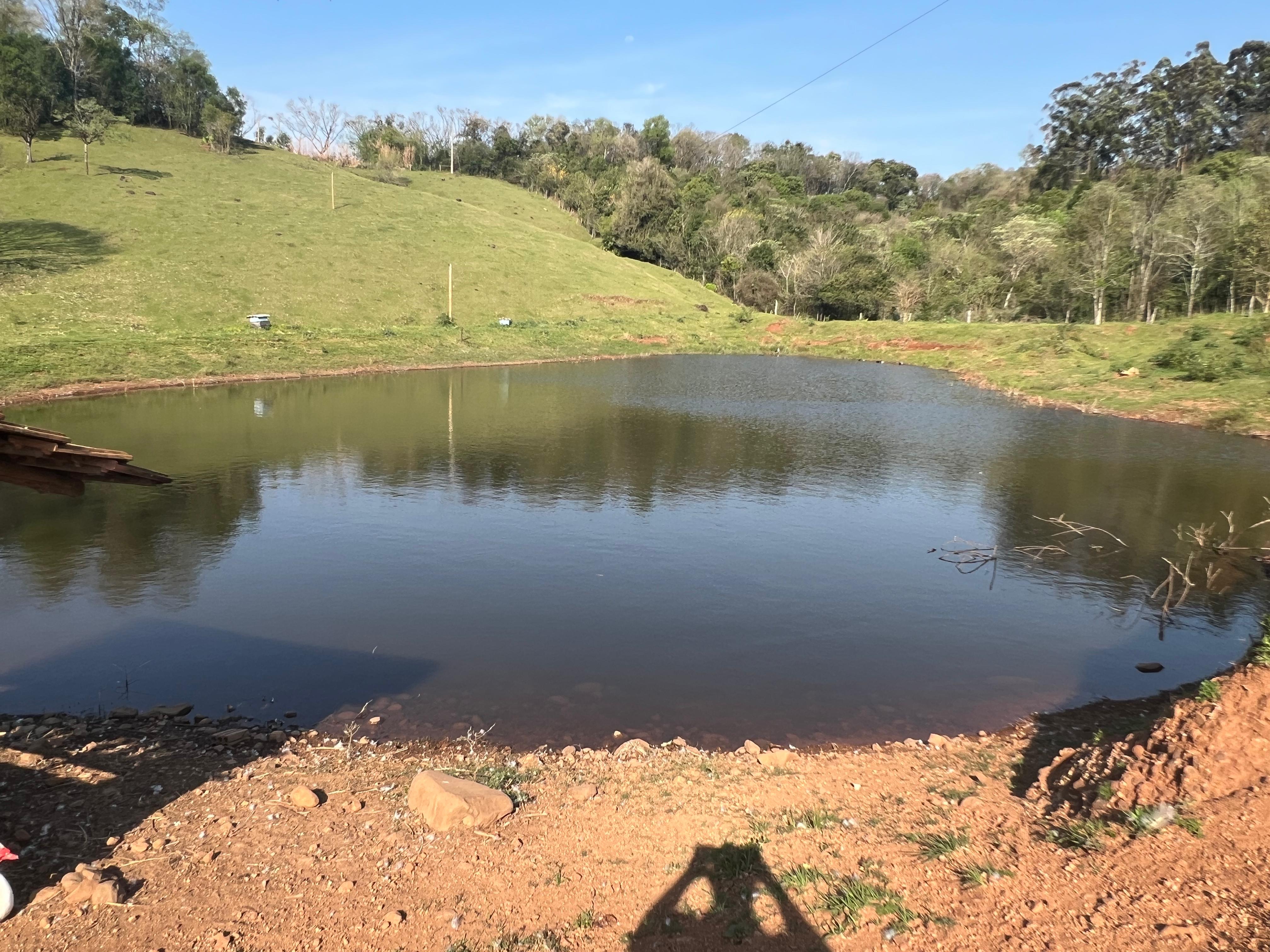 Vende se propriedade completa em linha limeira em Paraíso