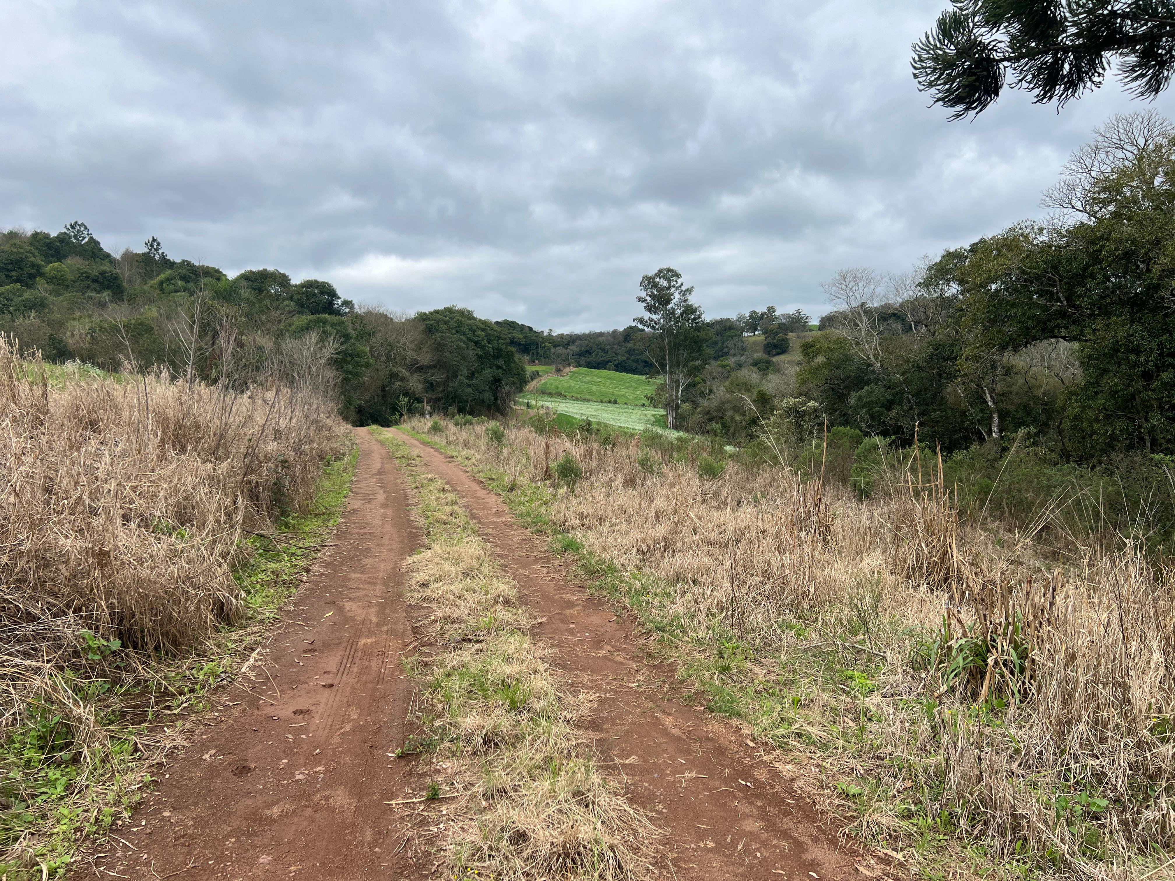 Oportunidade em Paraíso/SC – 7,5 Hectares