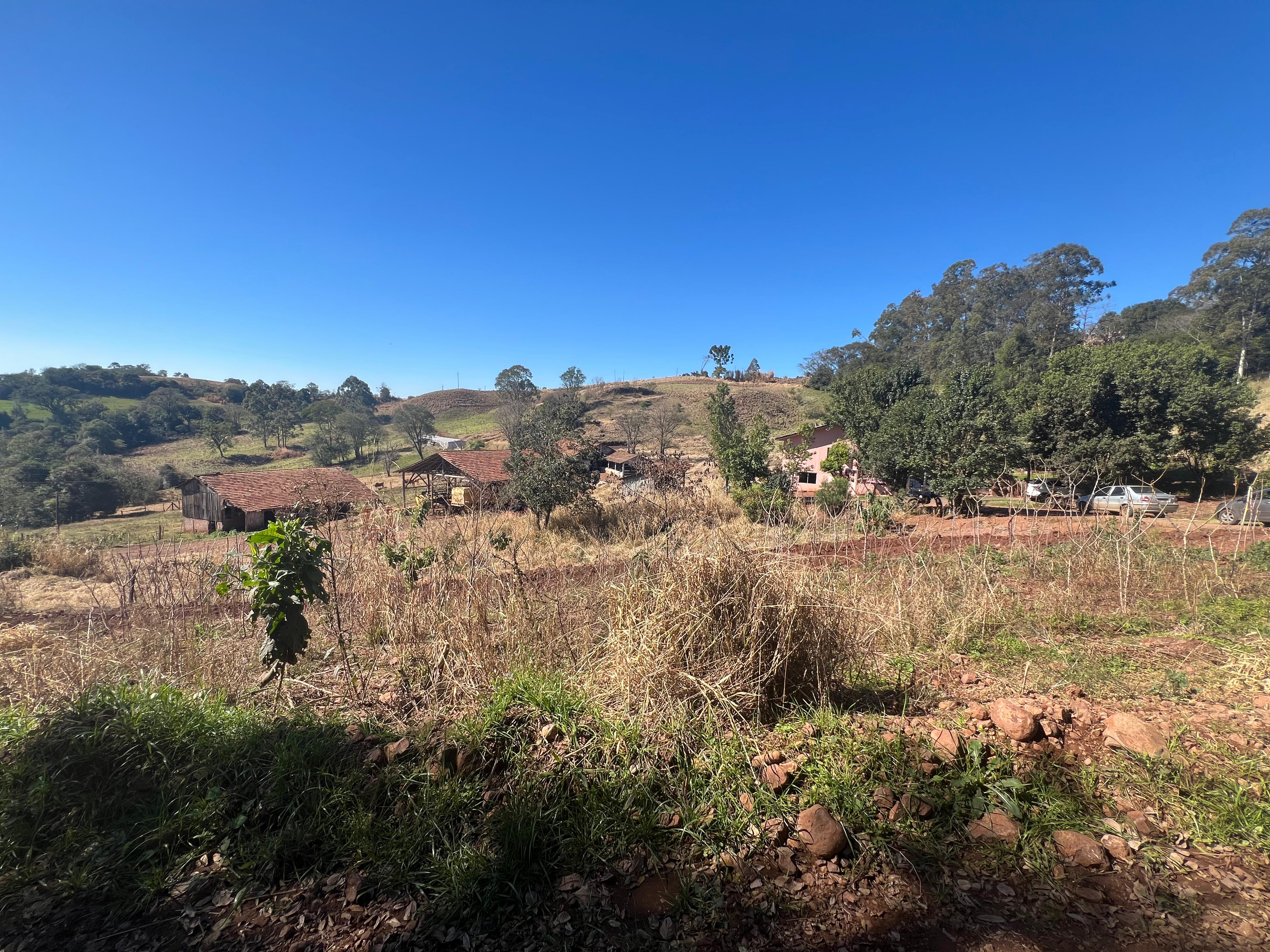 Oportunidade Única – 40 Hectares em Grapia, Paraíso/SC!