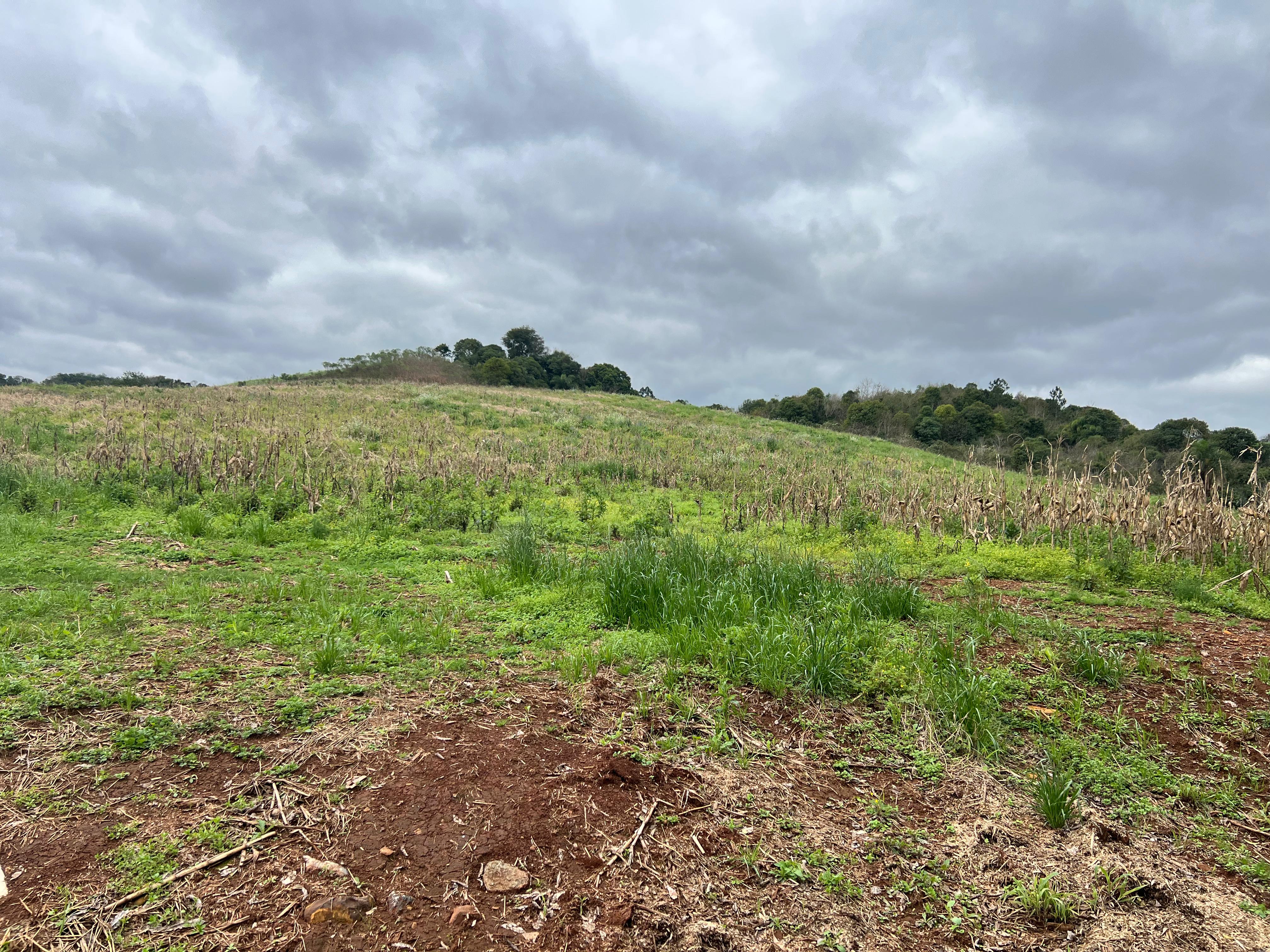Oportunidade em Paraíso/SC – 7,5 Hectares
