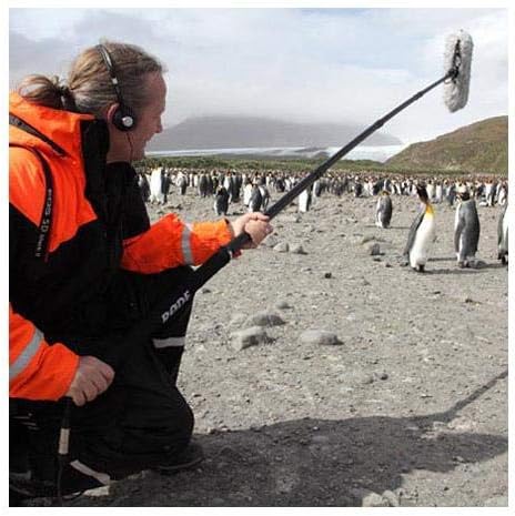 Rode Boompole Professional Microphone Boom Arm