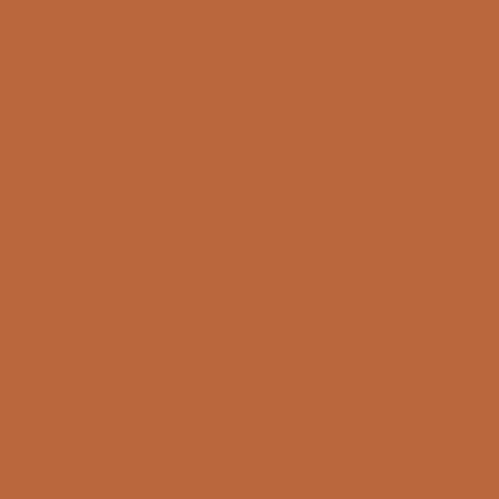 2105C AMBER BROWN