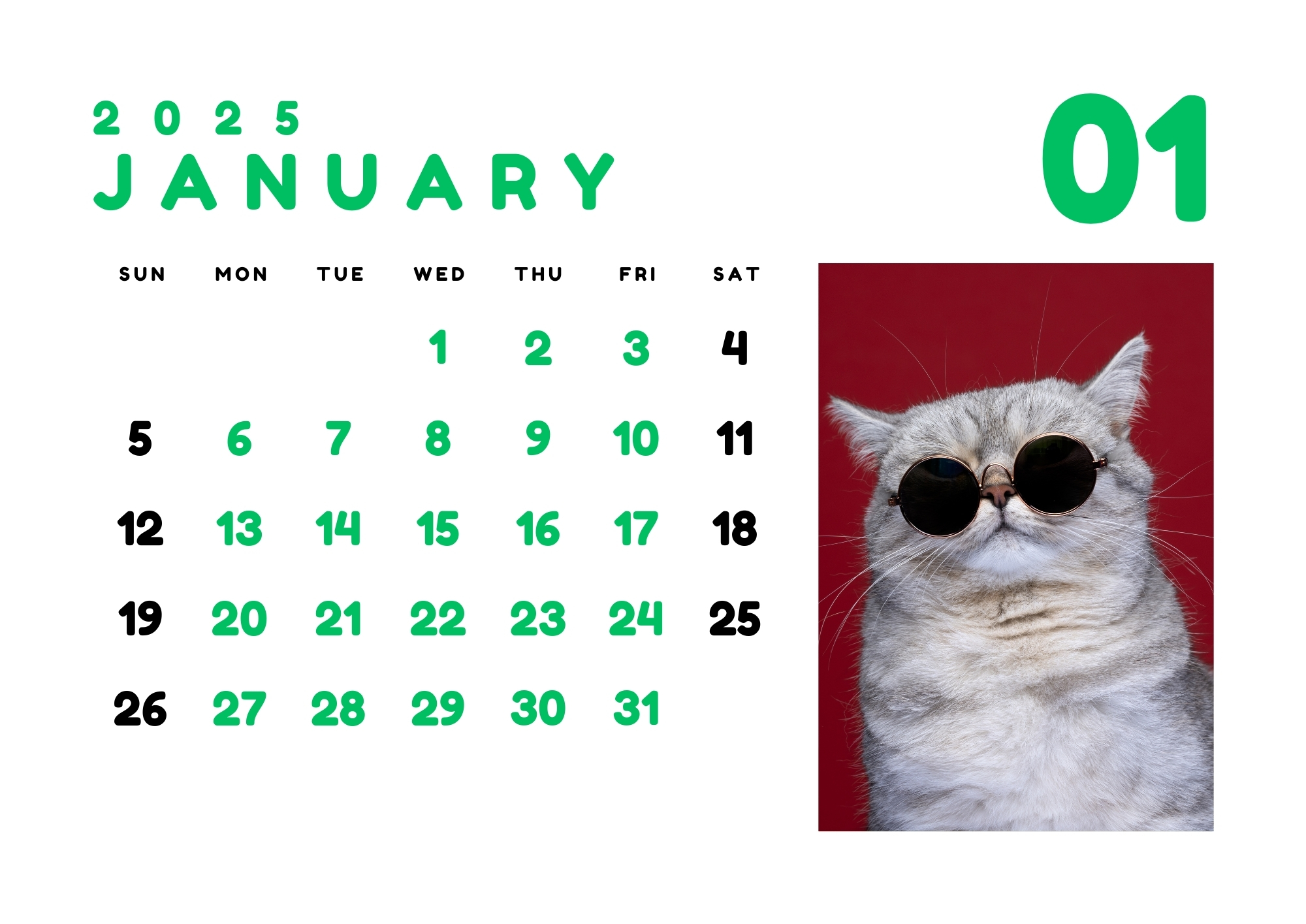 Kittens calendar 2025