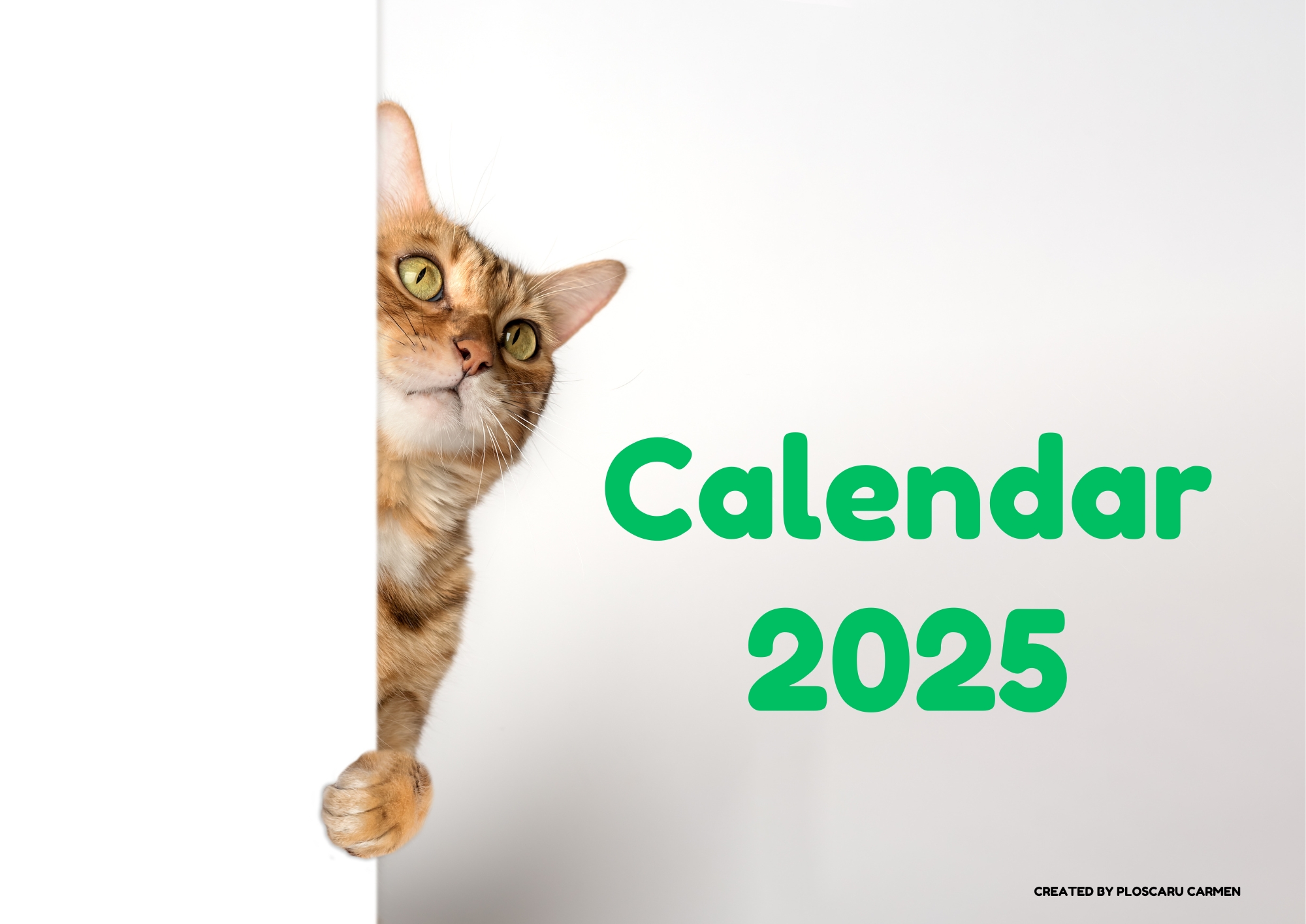 Kittens calendar 2025