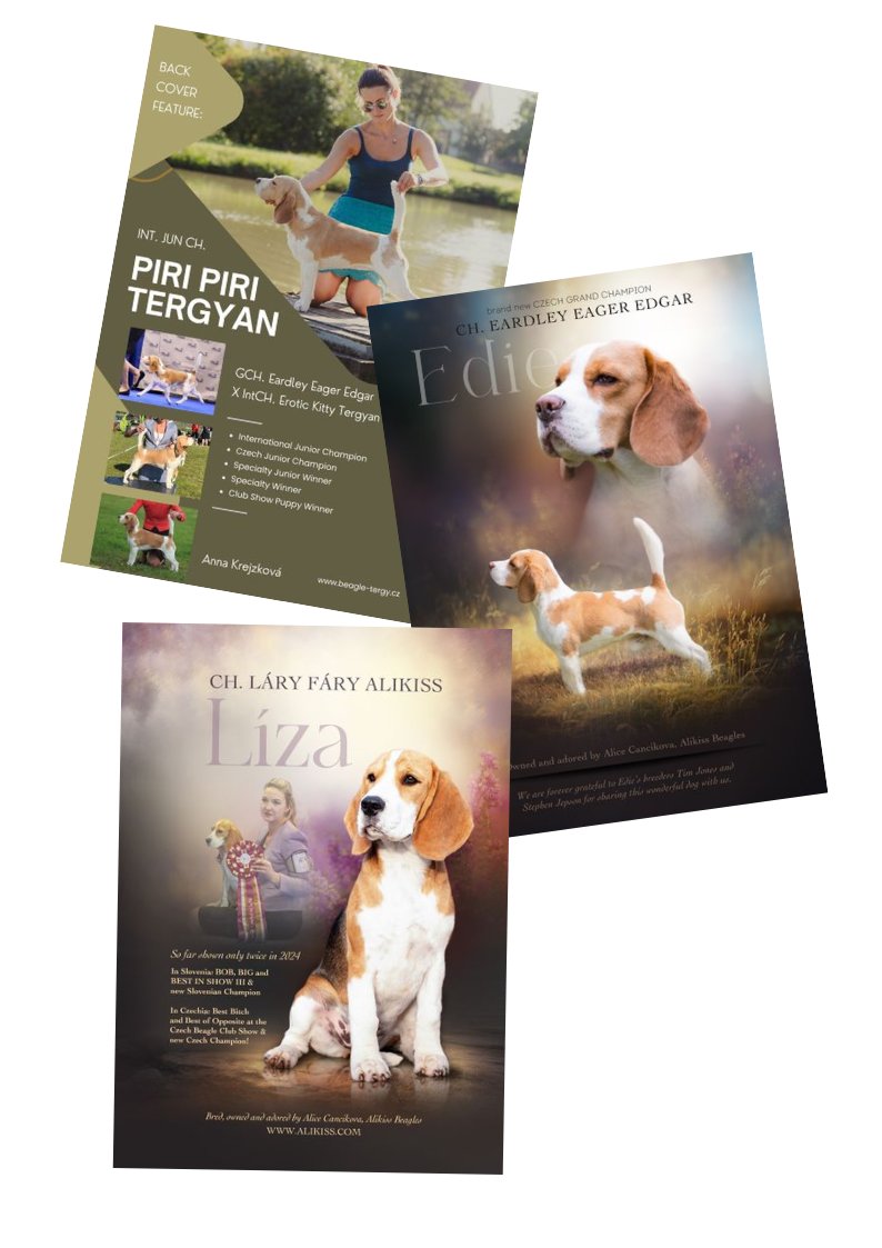 Advertising - single page