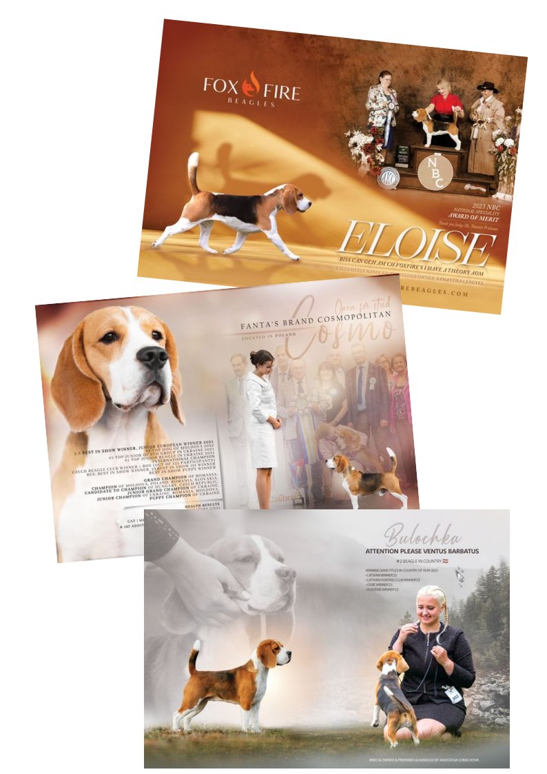 Advertising - double page