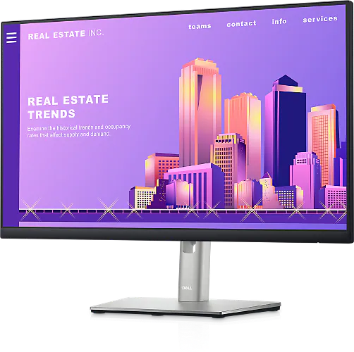 24 Inch FHD Computer Monitor - P2422H