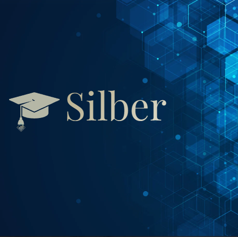 Die Blockchain Acadamy - Silber