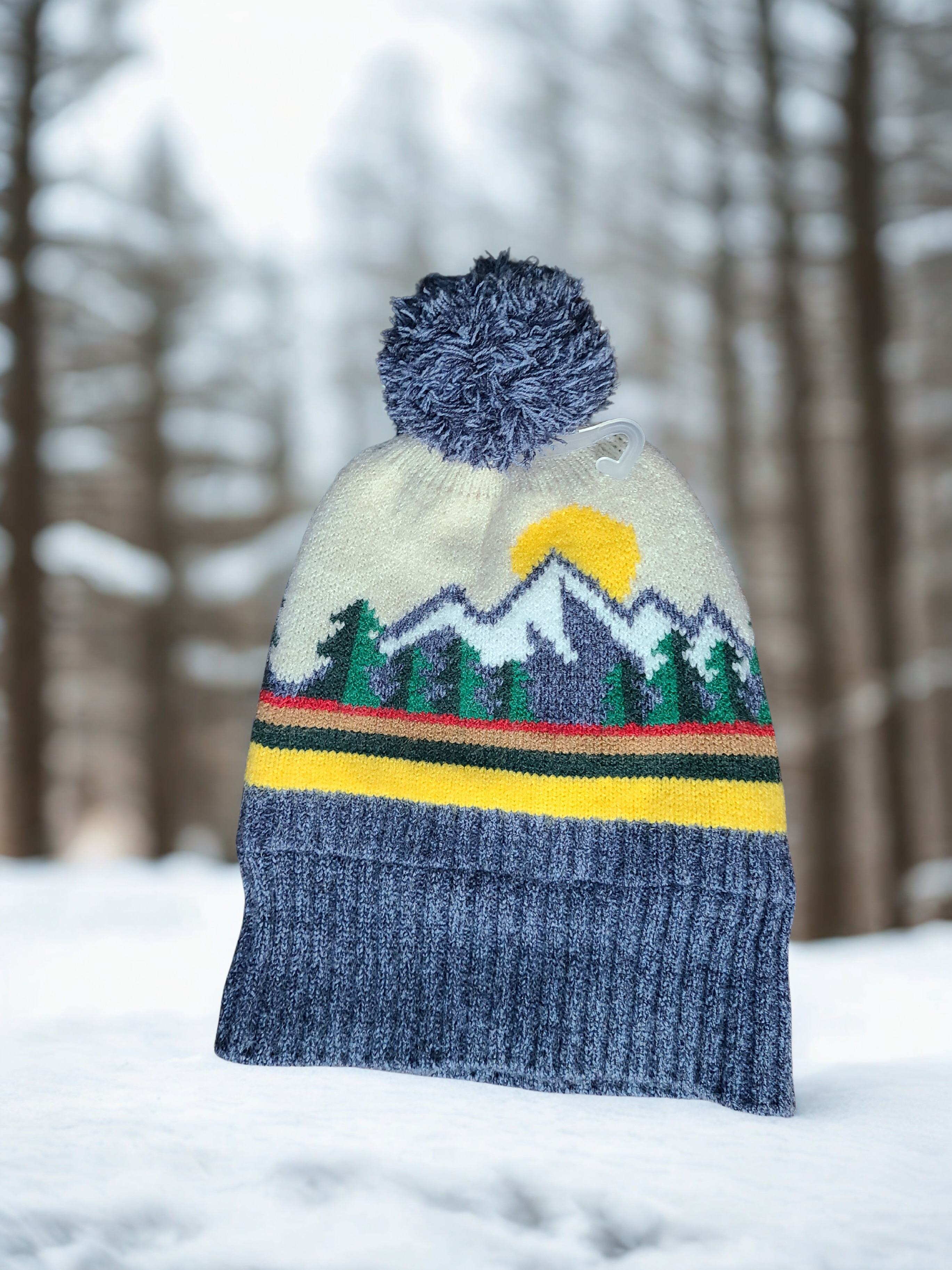 Winter Pom Knit Hat