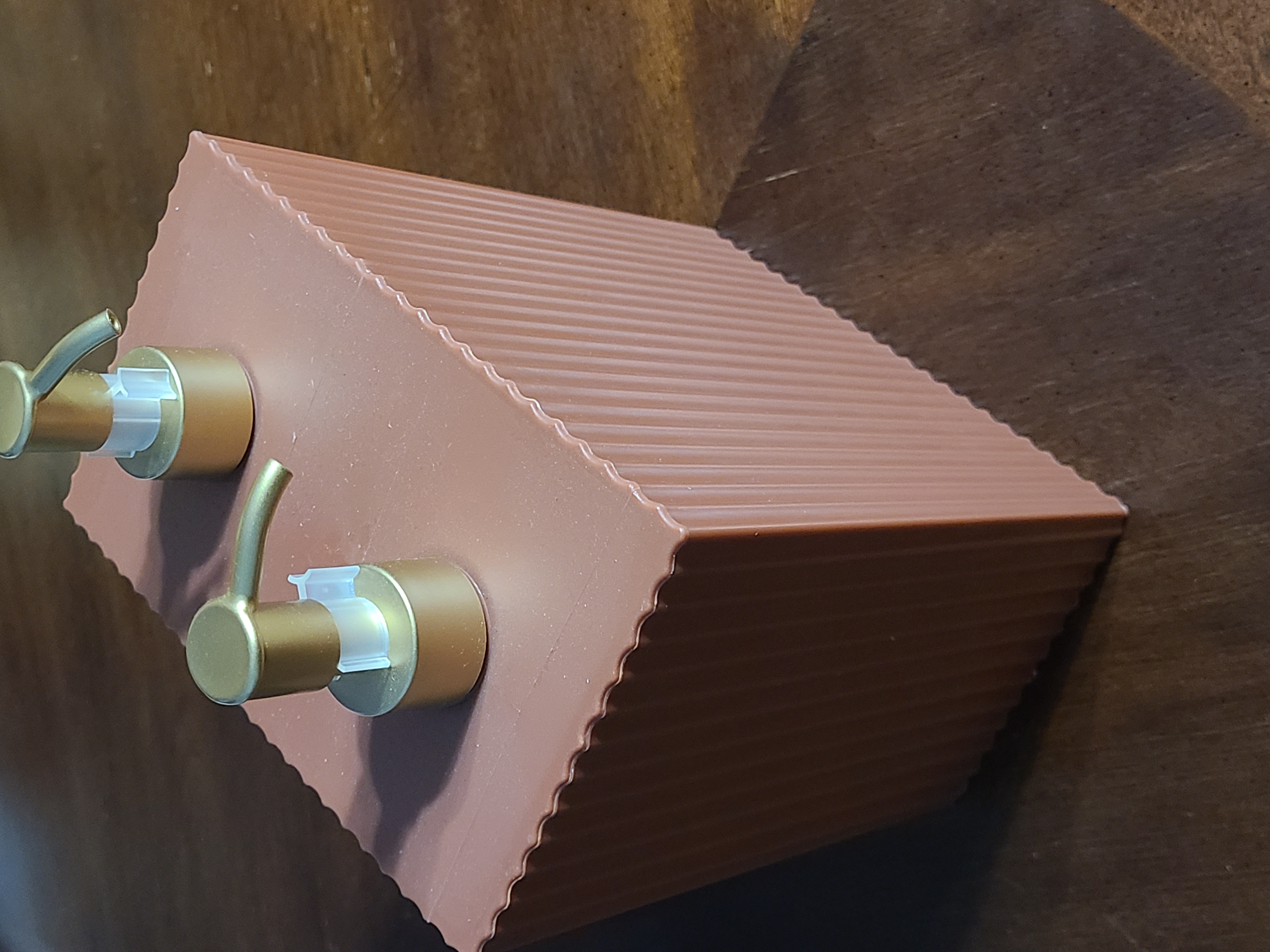 Dual Pump Dispenser Bottle