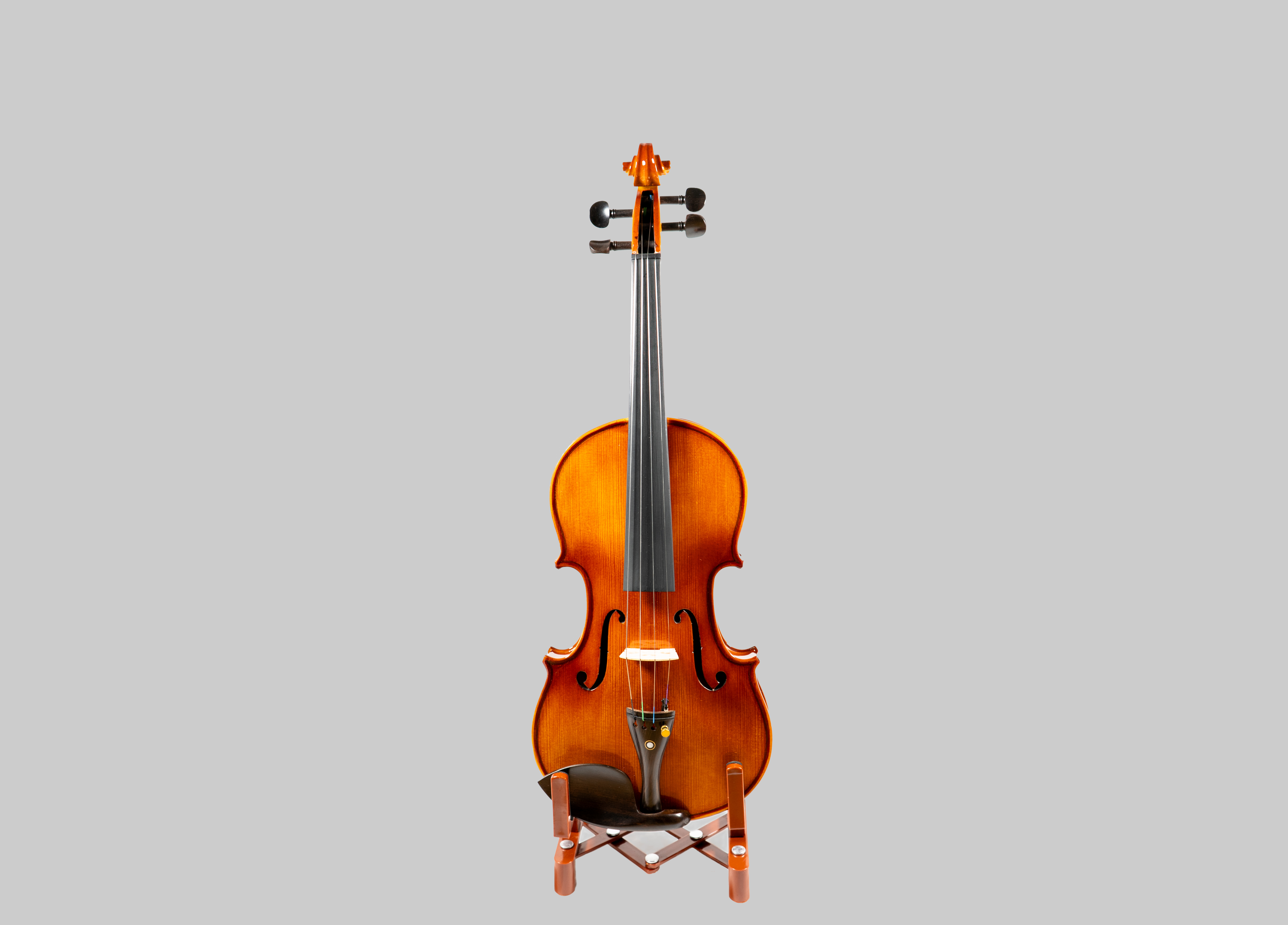 Violine Set 4/4 - VS201E