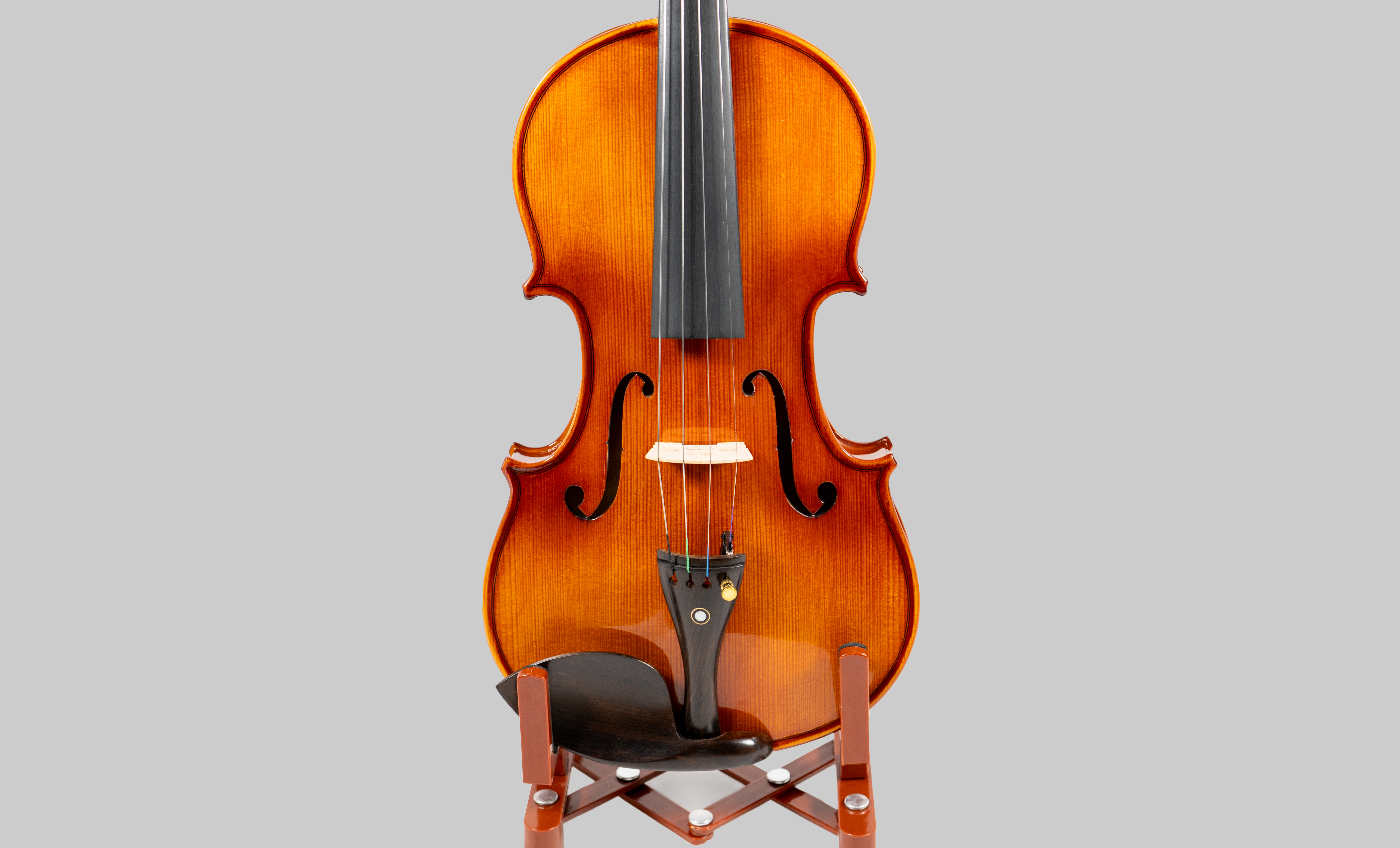 Violine Set 4/4 - VS201E