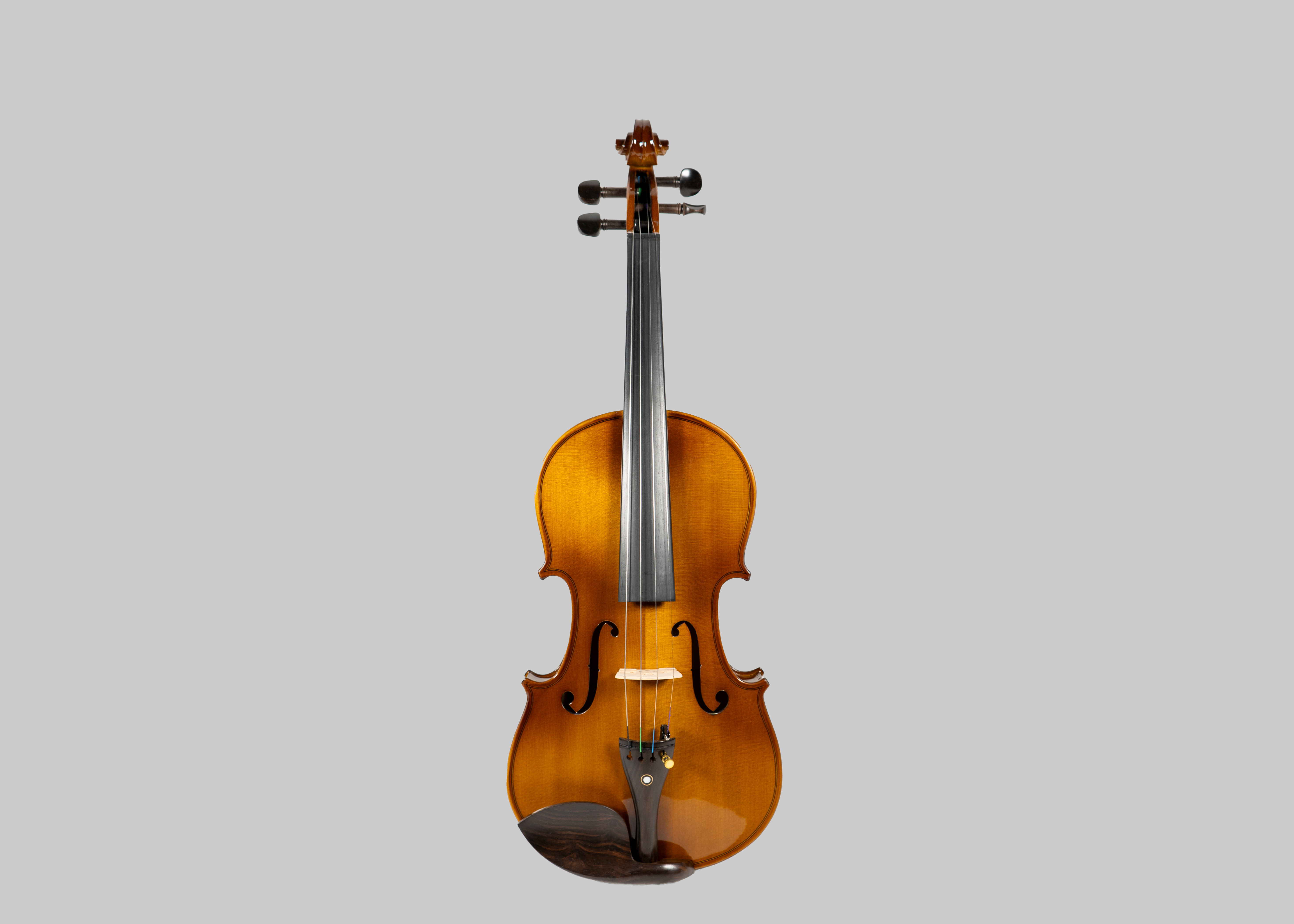 Violine Set 4/4 - VS102E