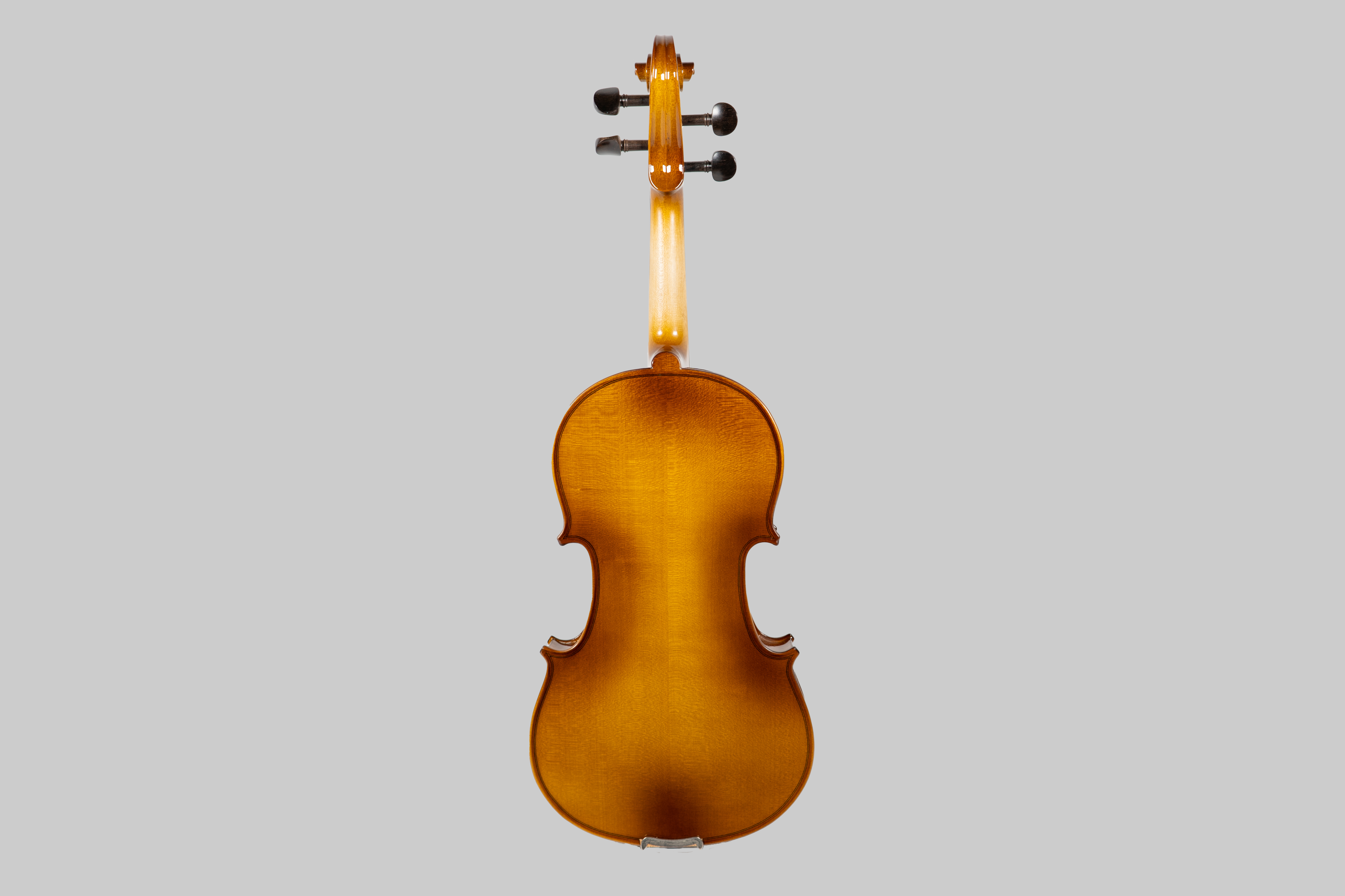 Violine Set 4/4 - VS102E