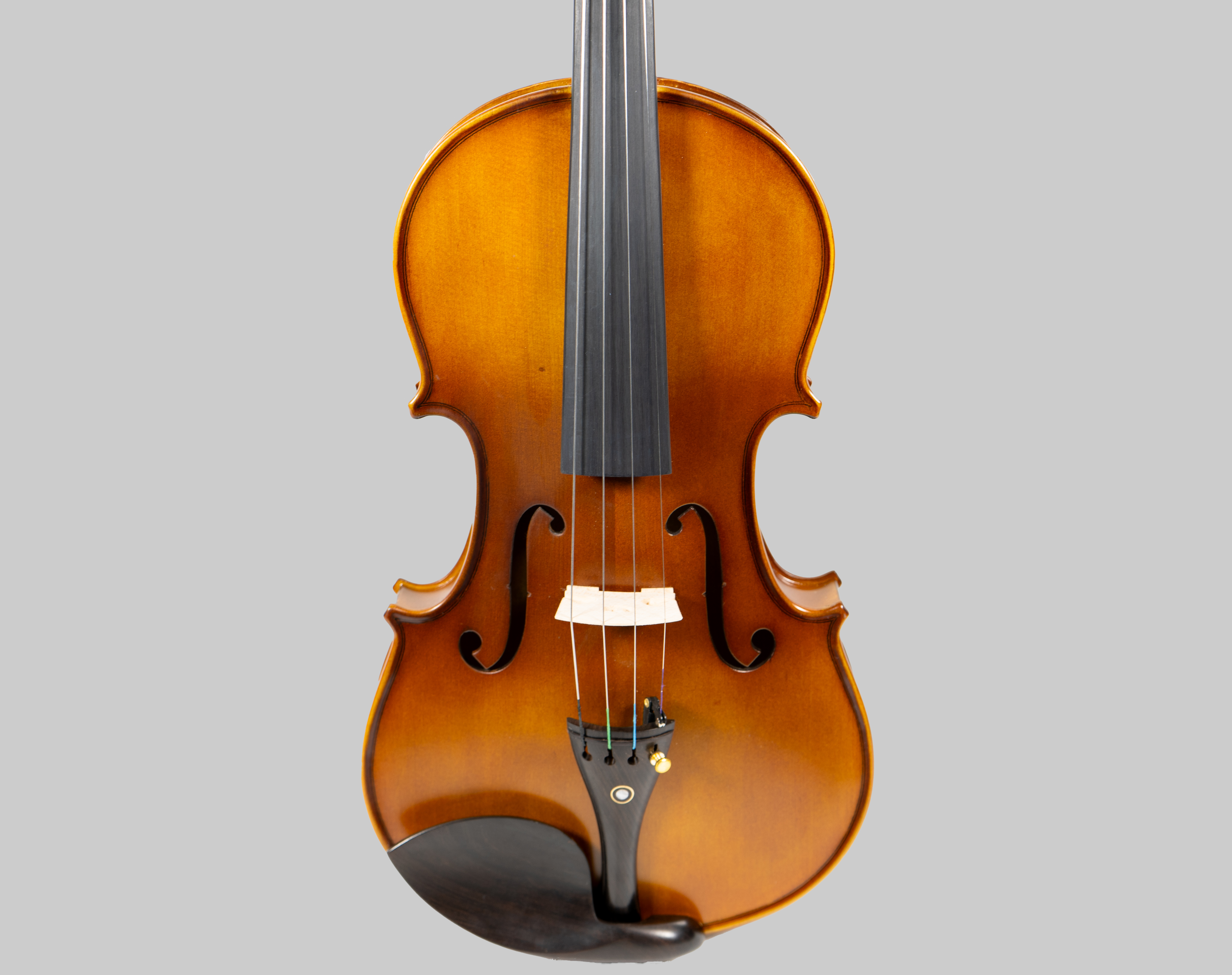 Violine Set 4/4 - VSP102E
