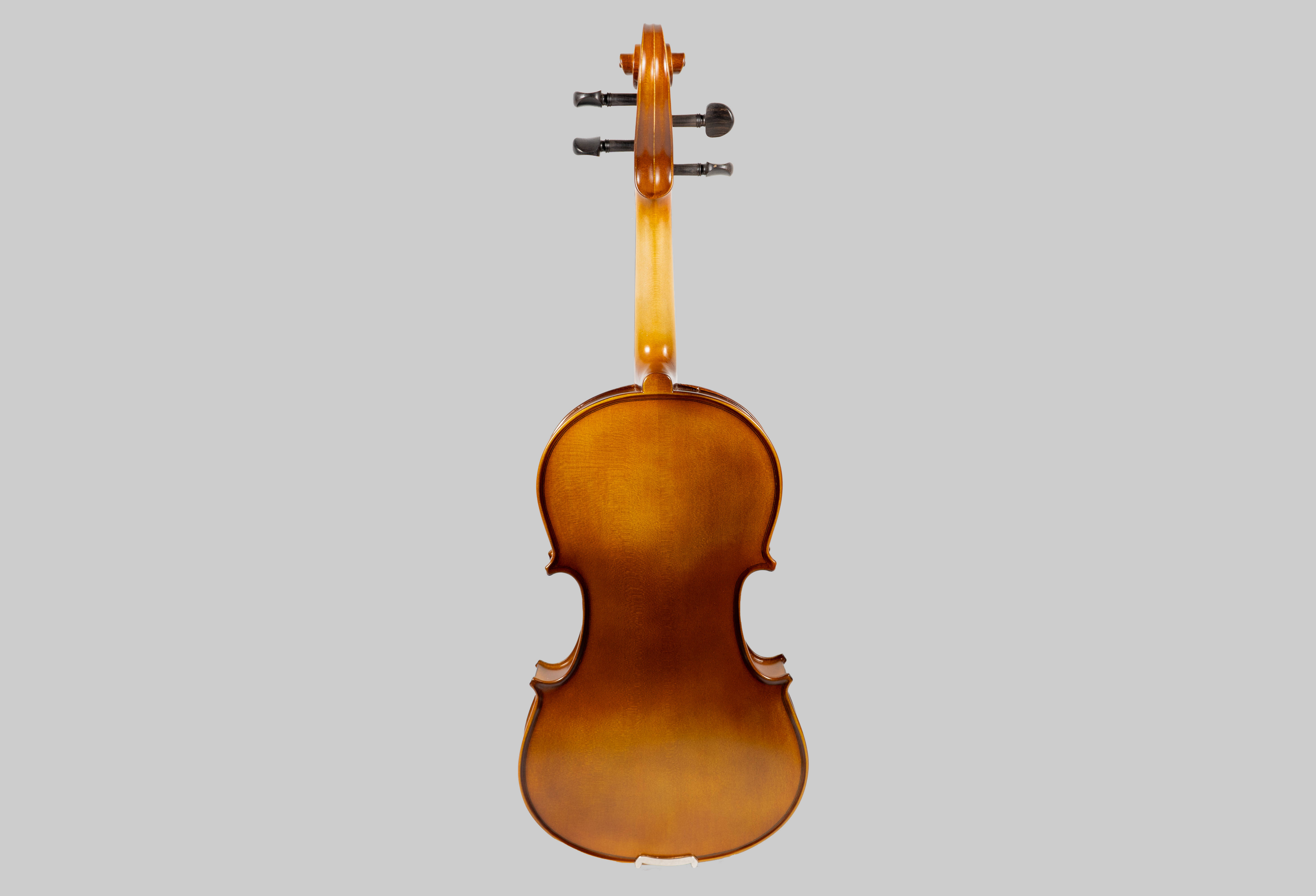 Violine Set 4/4 - VSP102E