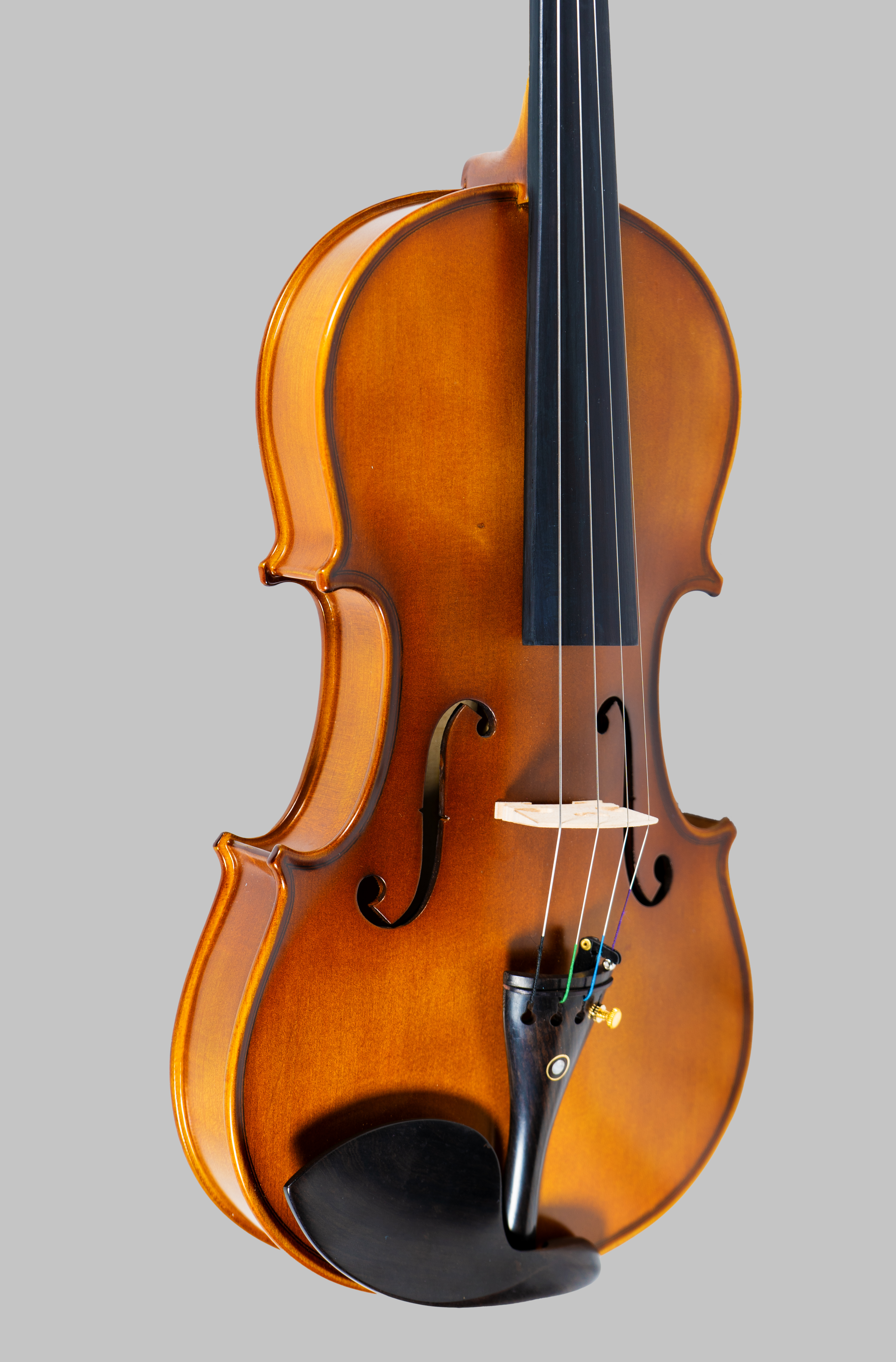 Violine Set 4/4 - VSP102E