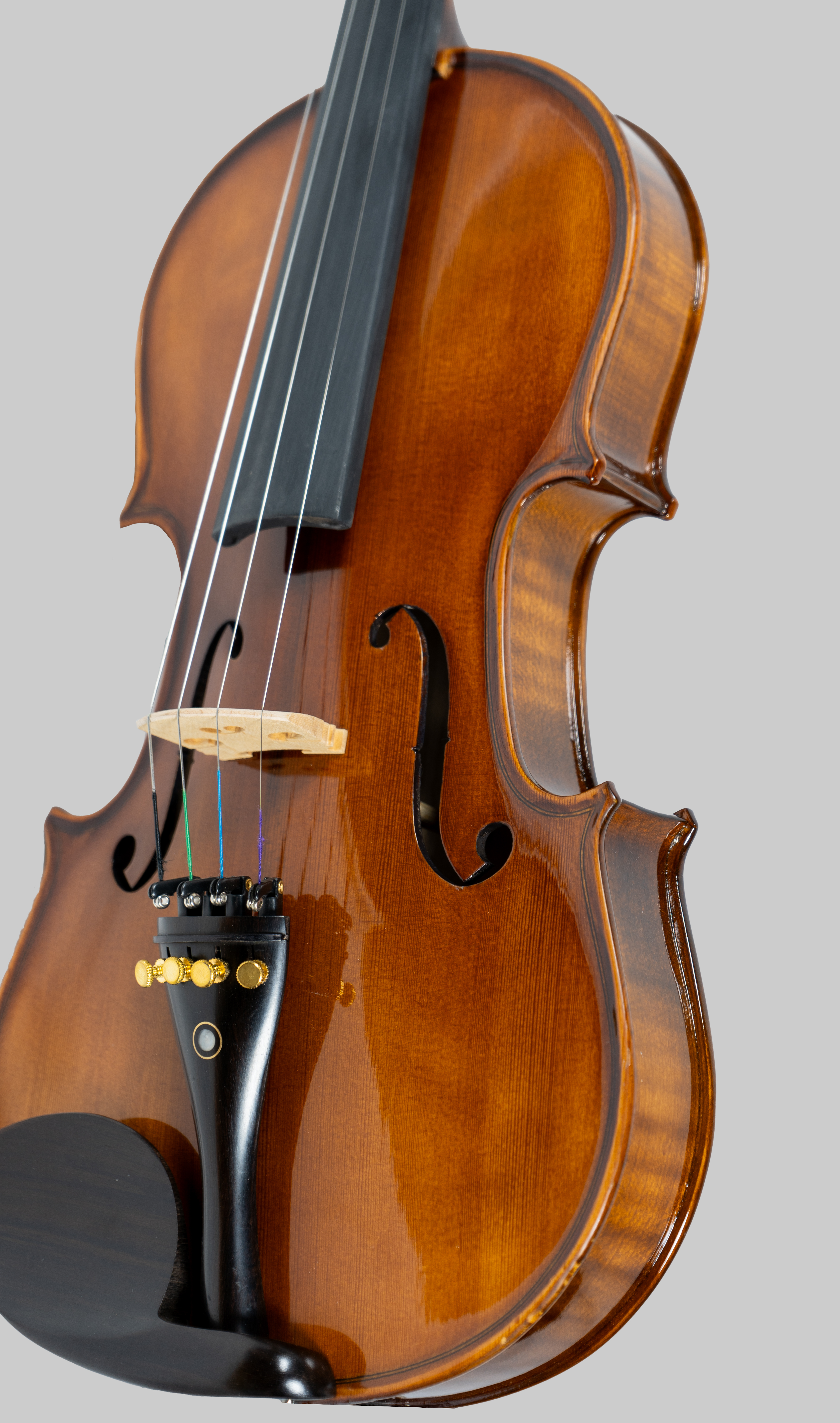 Violine Set 4/4 - VHF302E