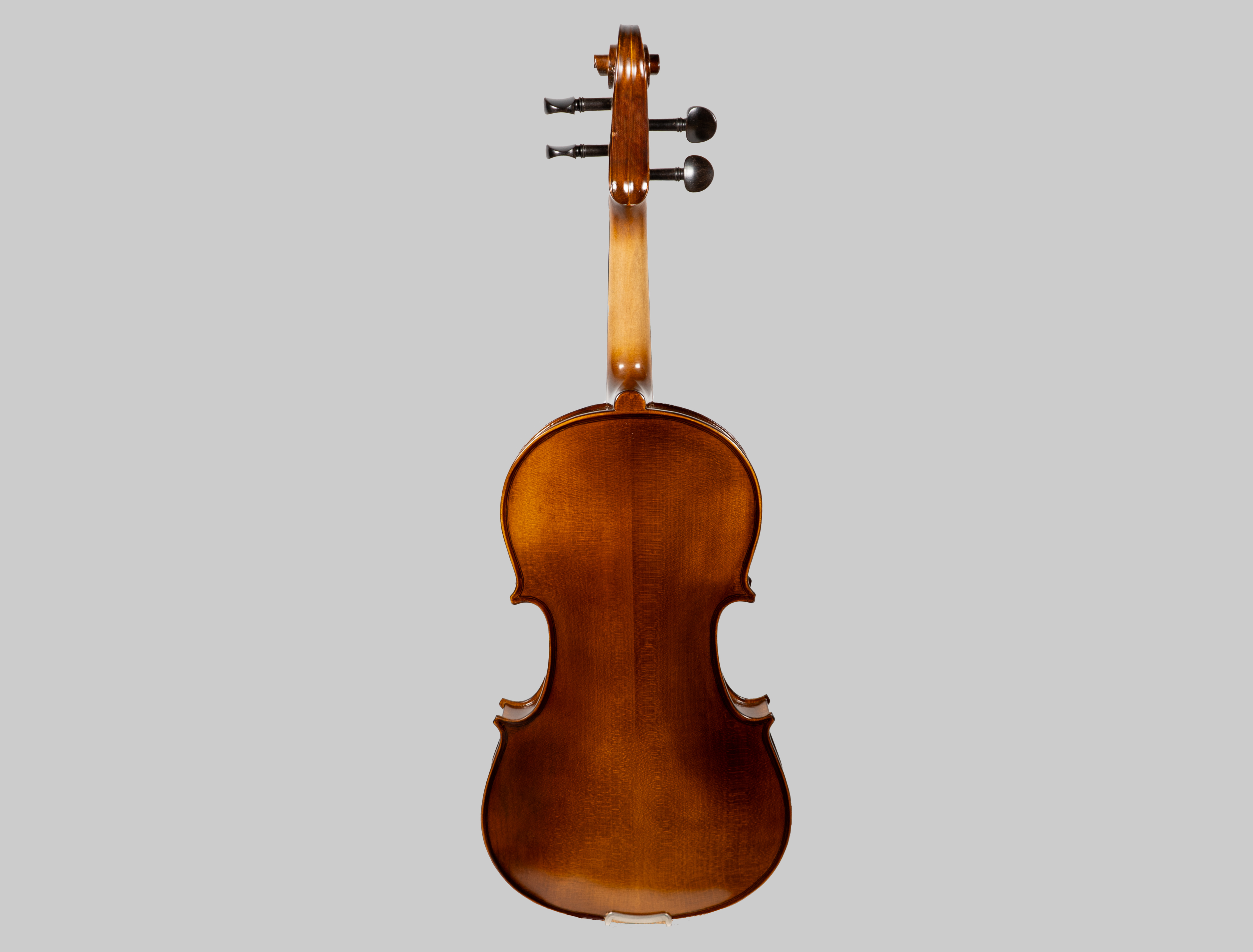 Violine Set 4/4 - VS202E