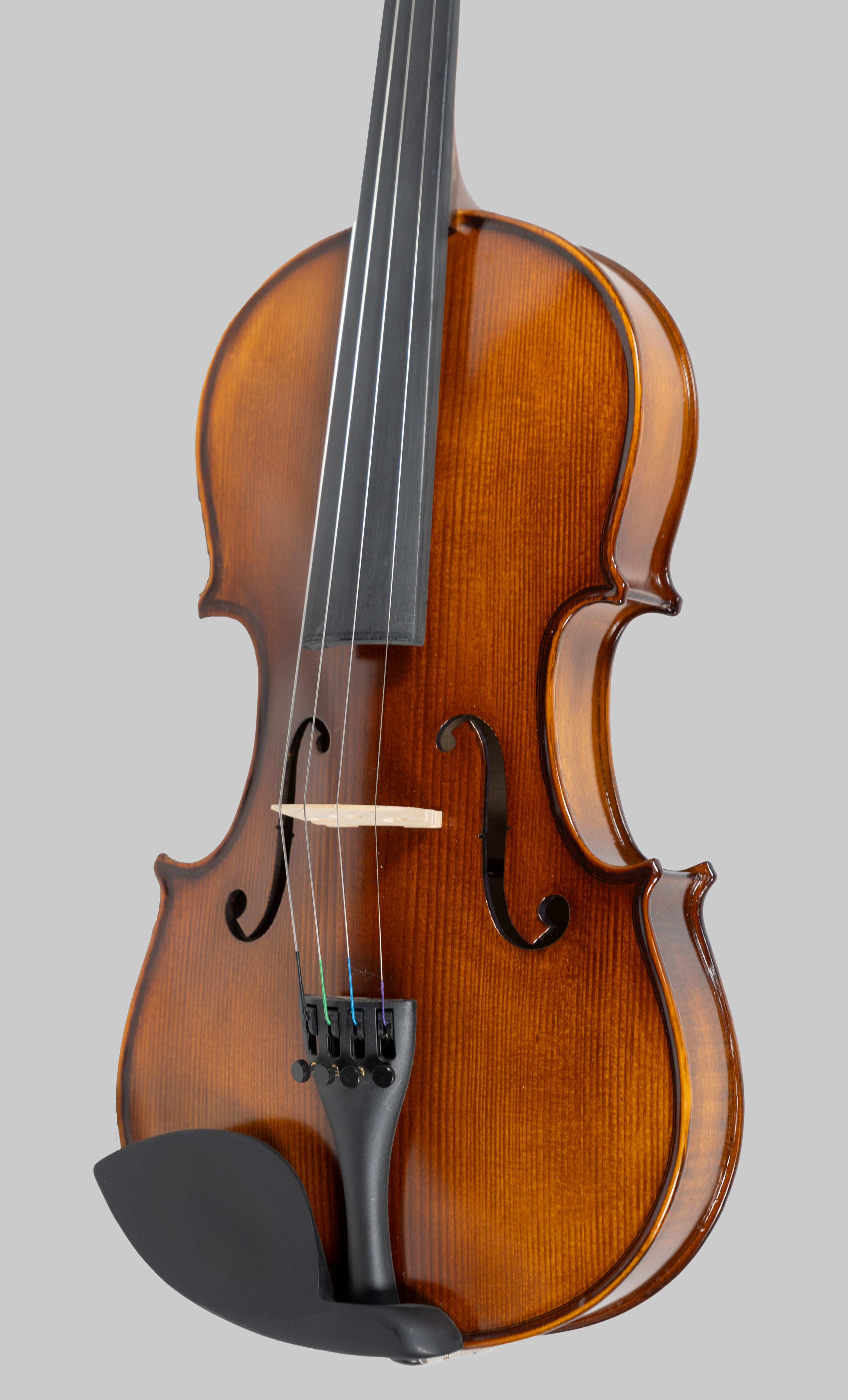 Violine Set 4/4 - VS202E