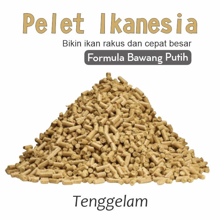 Pelet Ikanesia Ekstrak Bawang Putih Untuk Ikan Mas, Lele, Nila, Lobster, Mujair, Dll Tenggelam 1KG
