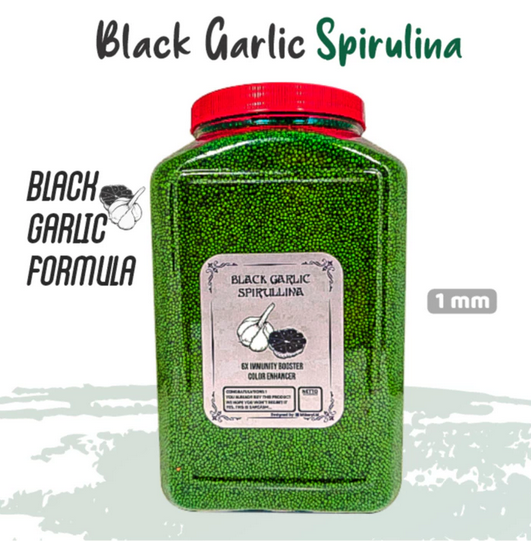 Pakan Pelet Ikan Koi SPIRULINA Black Garlic Ekstrak BAWANG HITAM [TOPLES 1,6 kg & REFILL 1KG] Daya Tahan Ikan IKANESIA