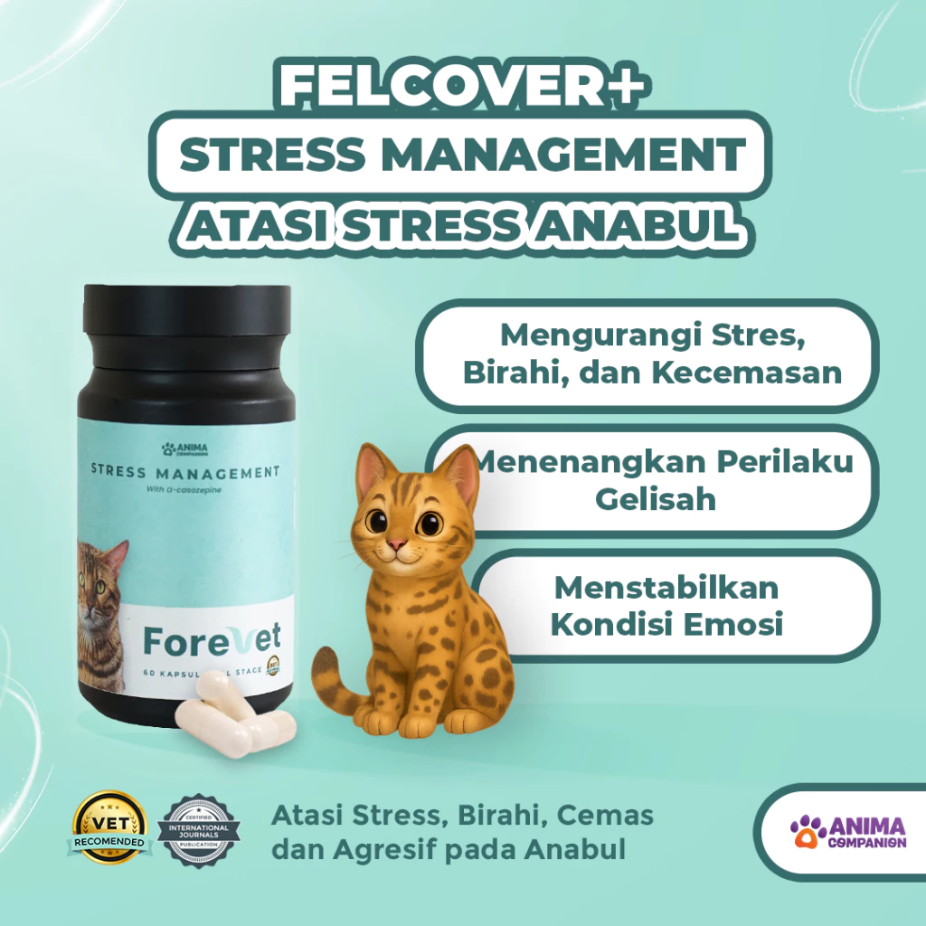 Forevet | Vitamin Stress Kucing Anjing | Suplemen Kucing dan Anjing Anti Stress Management
