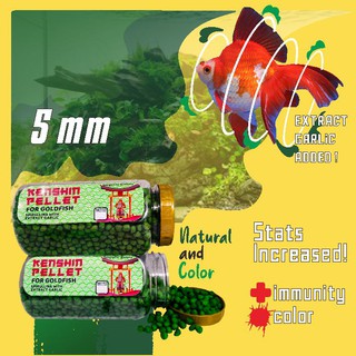 Pakan Pelet Makanan Ikan Mas Koki KENSHIN PELET Ekstra Bawang Putih [TOPLES BIG SIZE] 350 gr