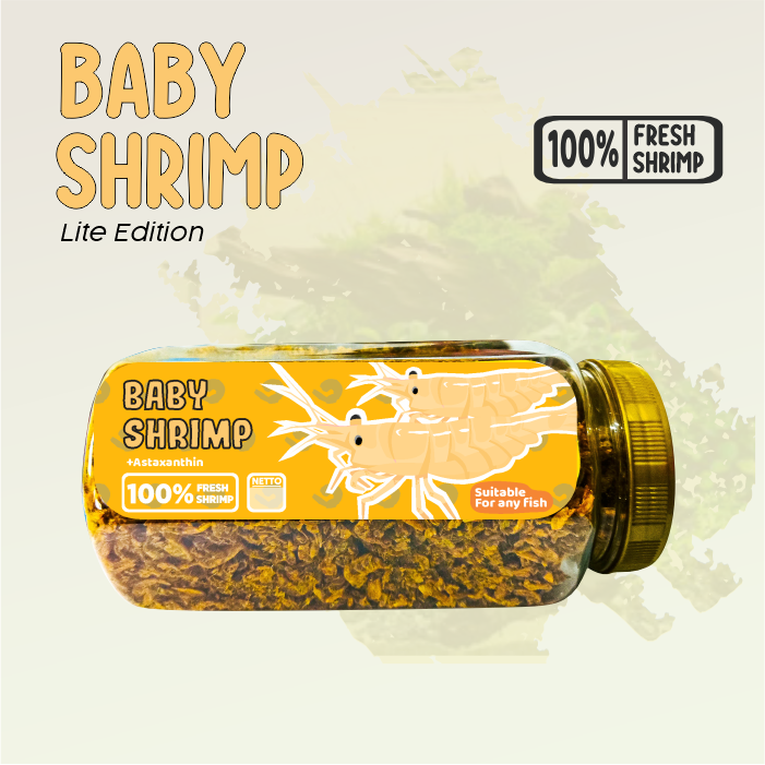 Baby Shrimp Kuning Lite Pakan Makanan Ikan Channa, Mas Koki, Koi, Cichlid