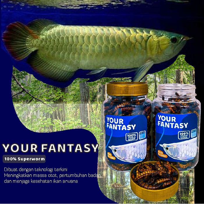 Your Fantasy Pakan Makanan Arwana Ulet Ulat Jerman Kering IKANESIA