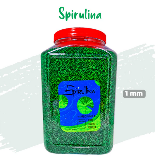 Pakan Ikan Koi SPIRULLINA [TOPLES 1,6 KG & REFILL 1KG] Toples Ekstrak BAWANG PUTIH IKANESIA