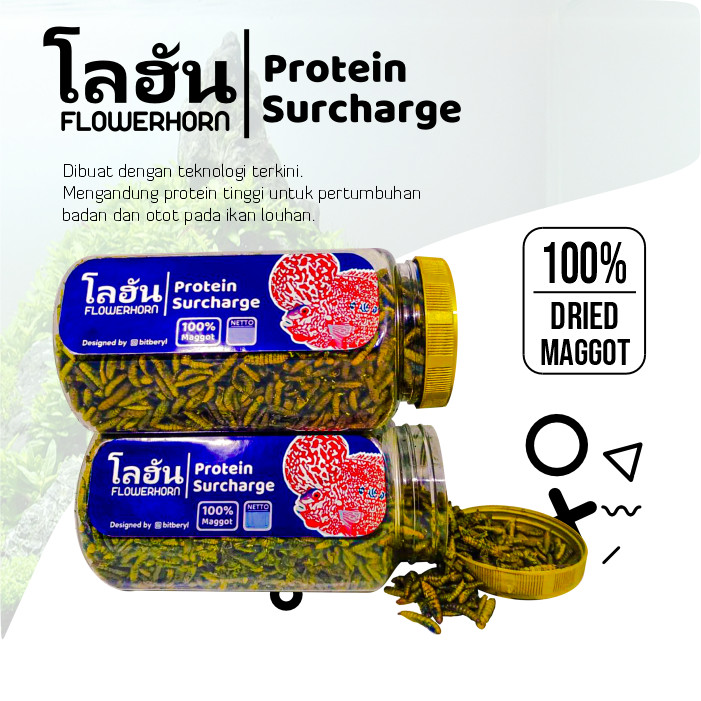  Protein Surcharge Maggot Louhan - Ikanesia 