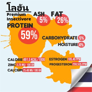 Pakan Pelet Makanan Ikan Louhan Premium Insectivore Jangkrik Kering